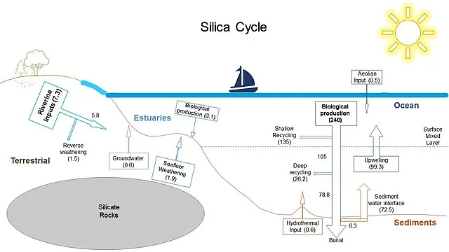 ScienceBuzz on Wikimedia Commons