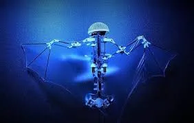 Image from Earth.com 