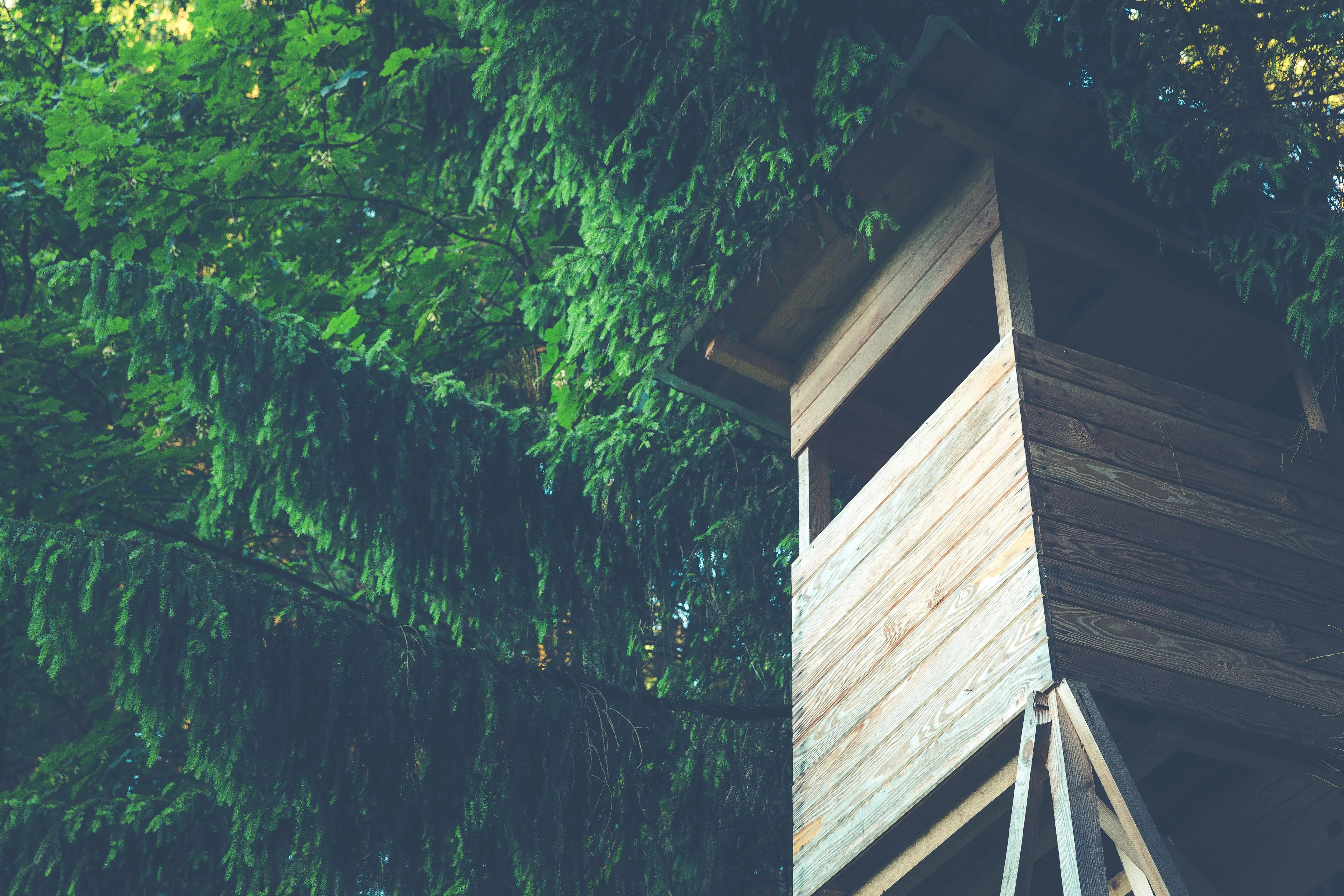 Markus Spiske on Pexels