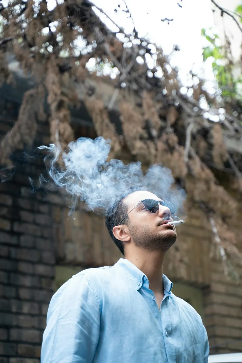  Farhad Irani on Pexels