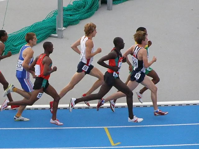 Albertus teolog on Wikimedia Commons