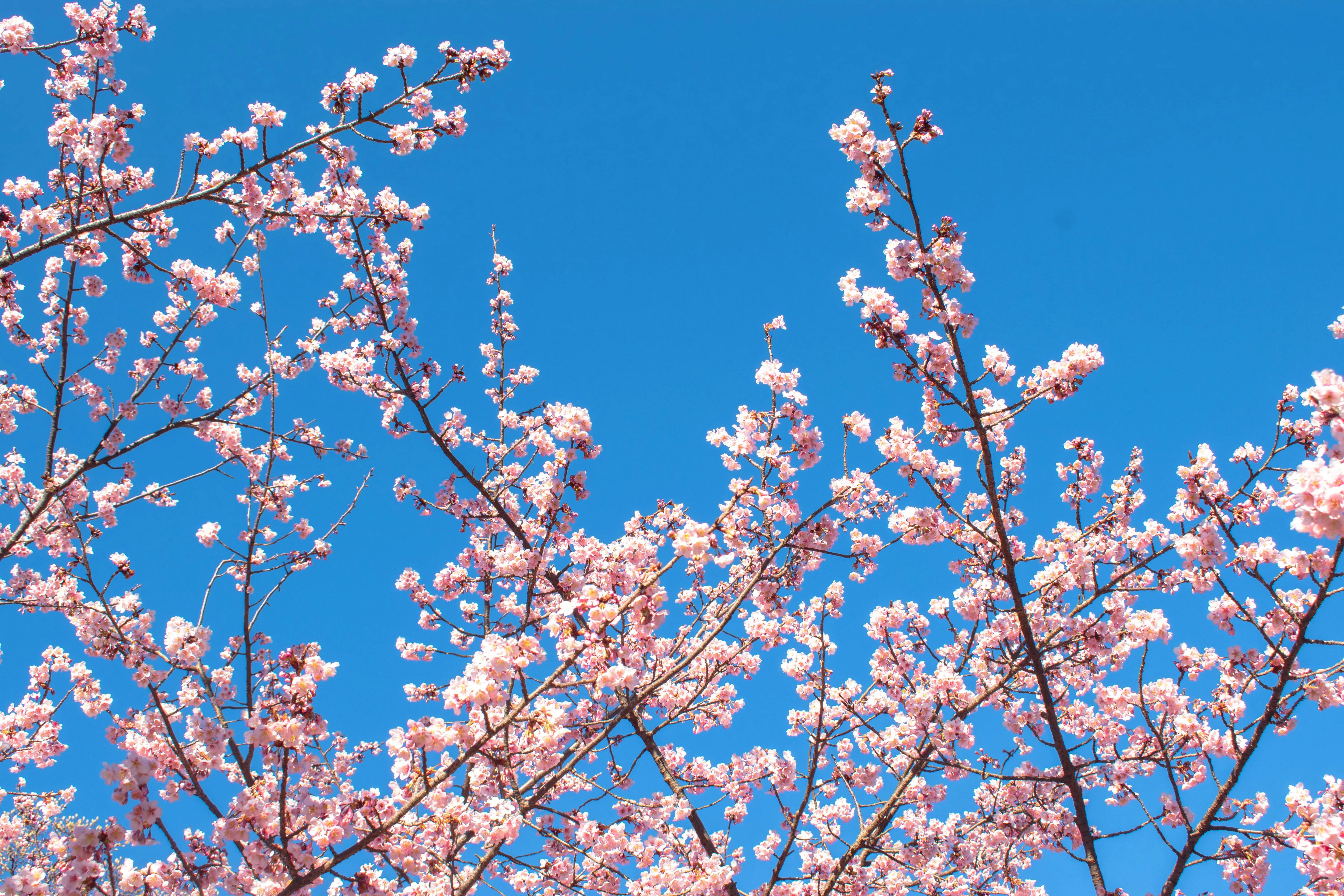 15 Things People Looked Forward to After Winter