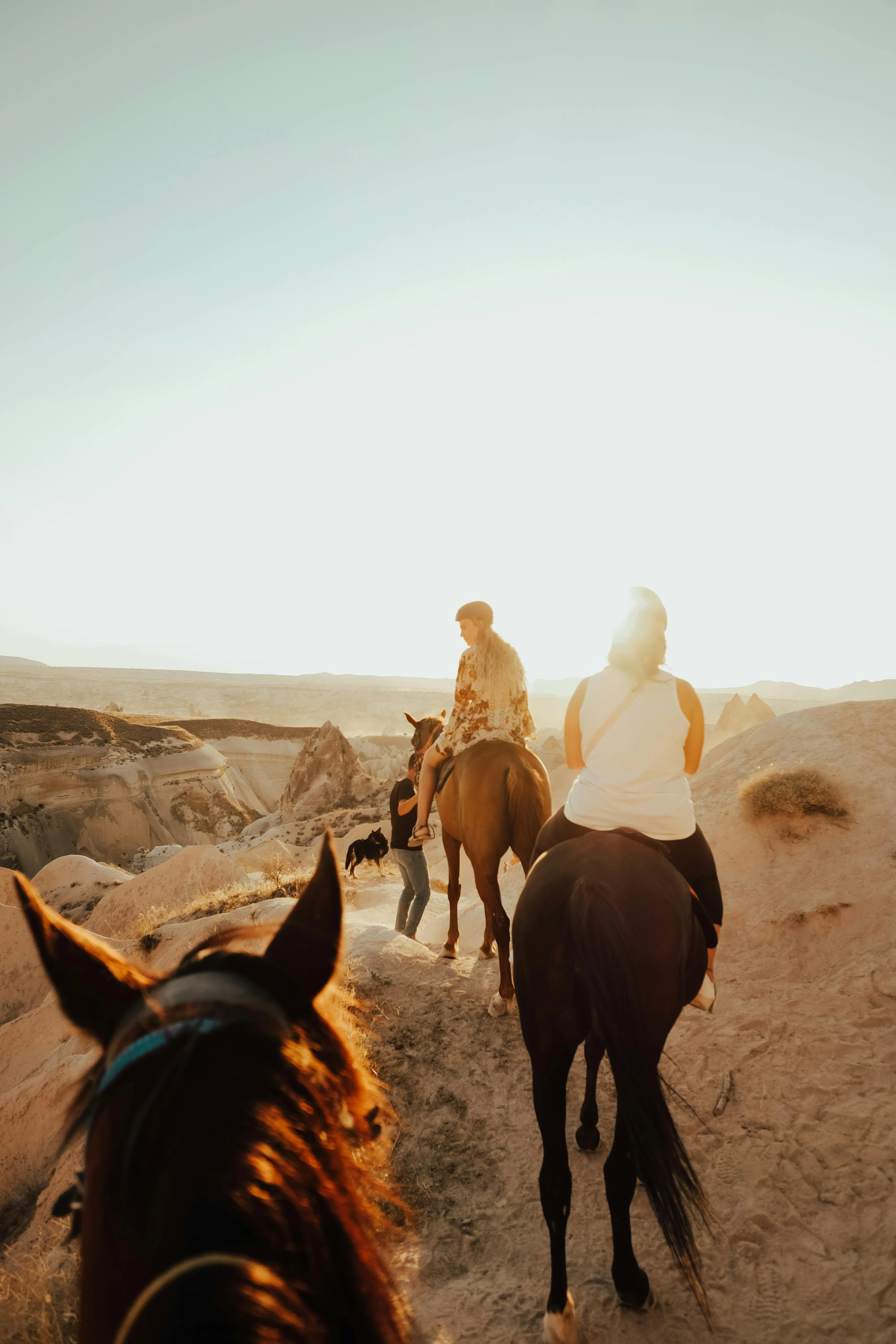 Tolga Aslantürk on Pexels
