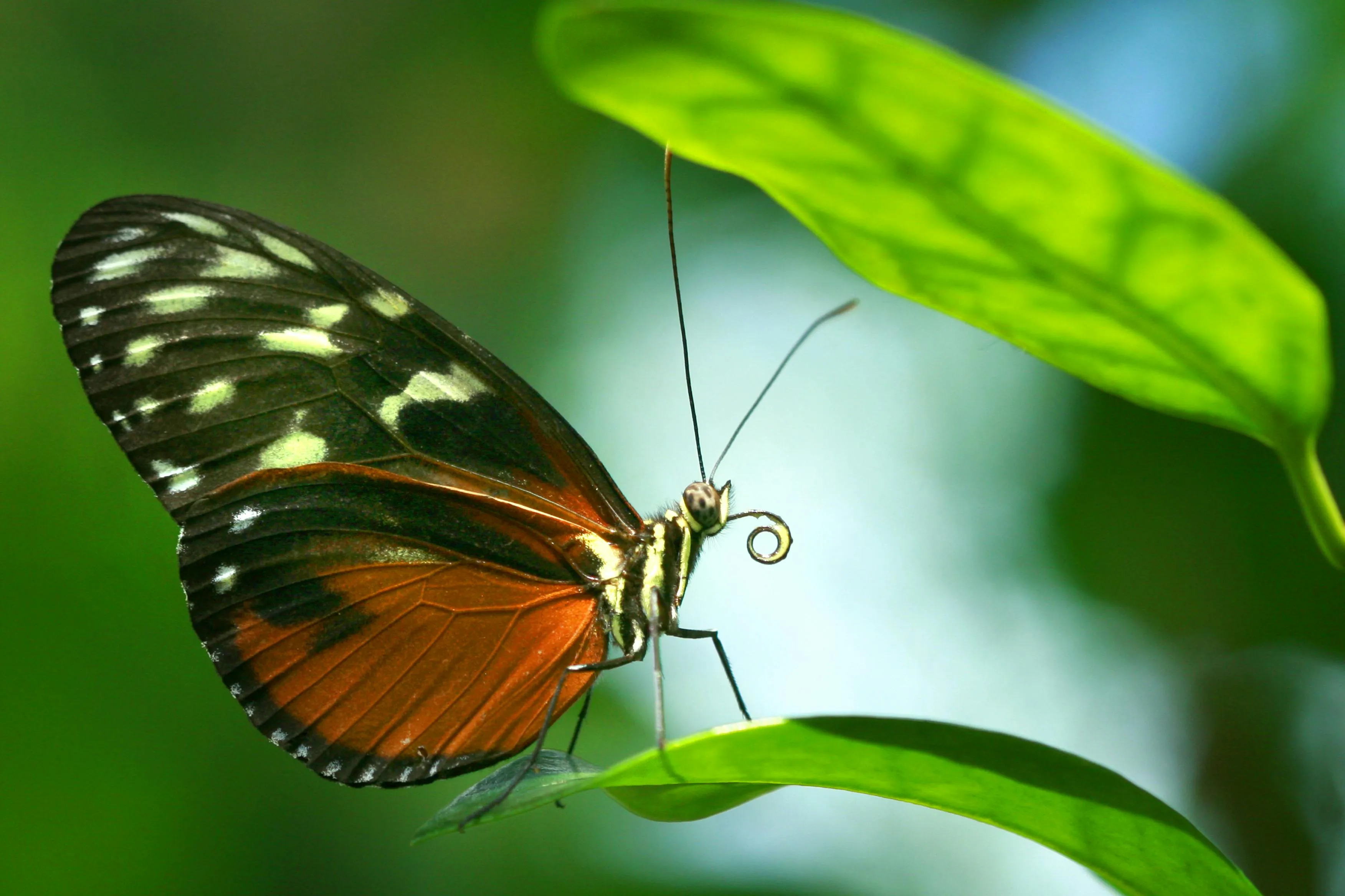 Jeffry Surianto on Pexels