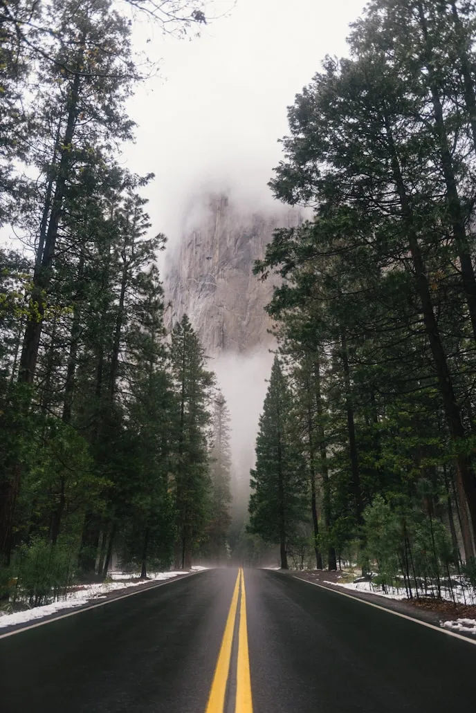 Connor McSheffrey from Unsplash