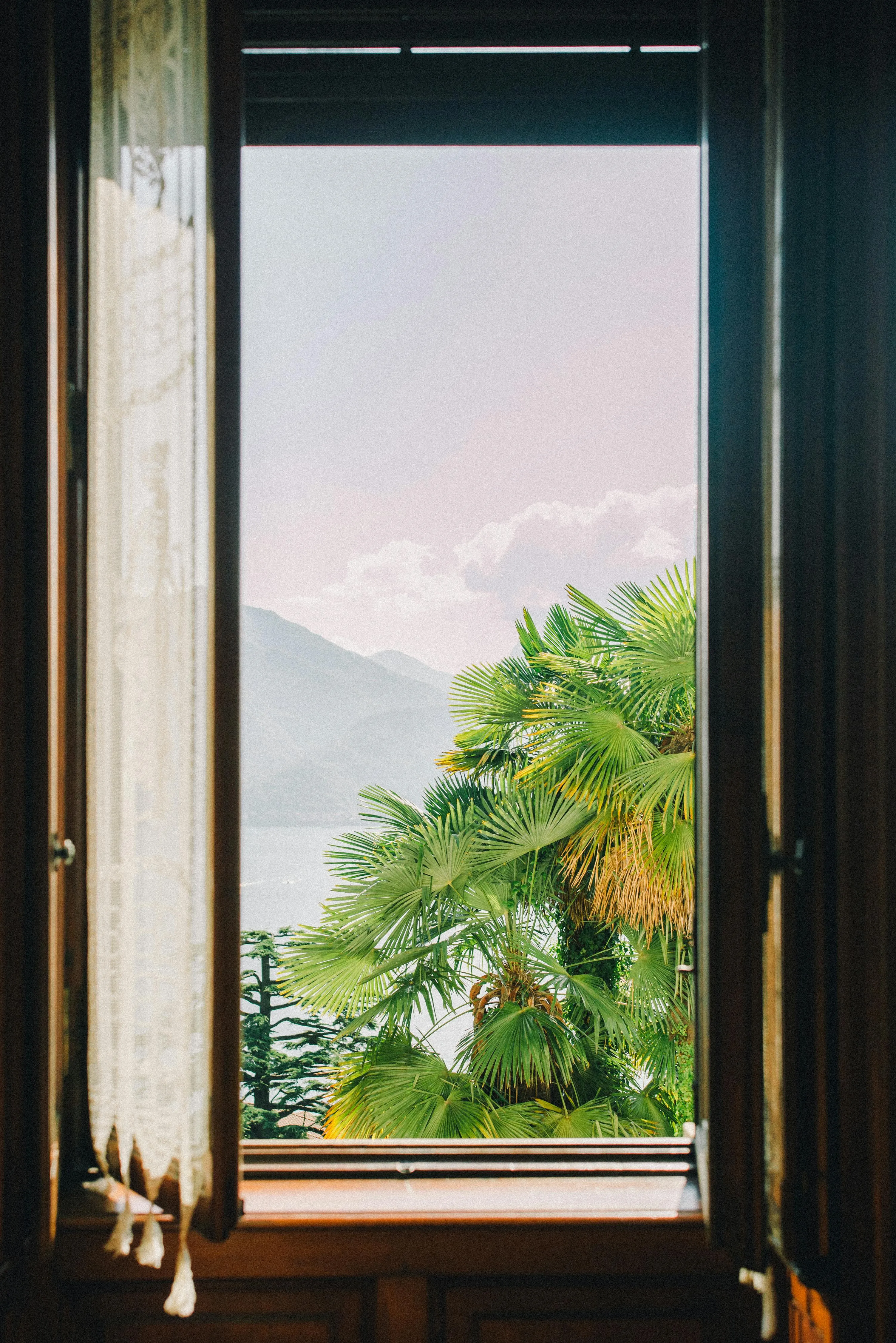 Leeloo The First on Pexels