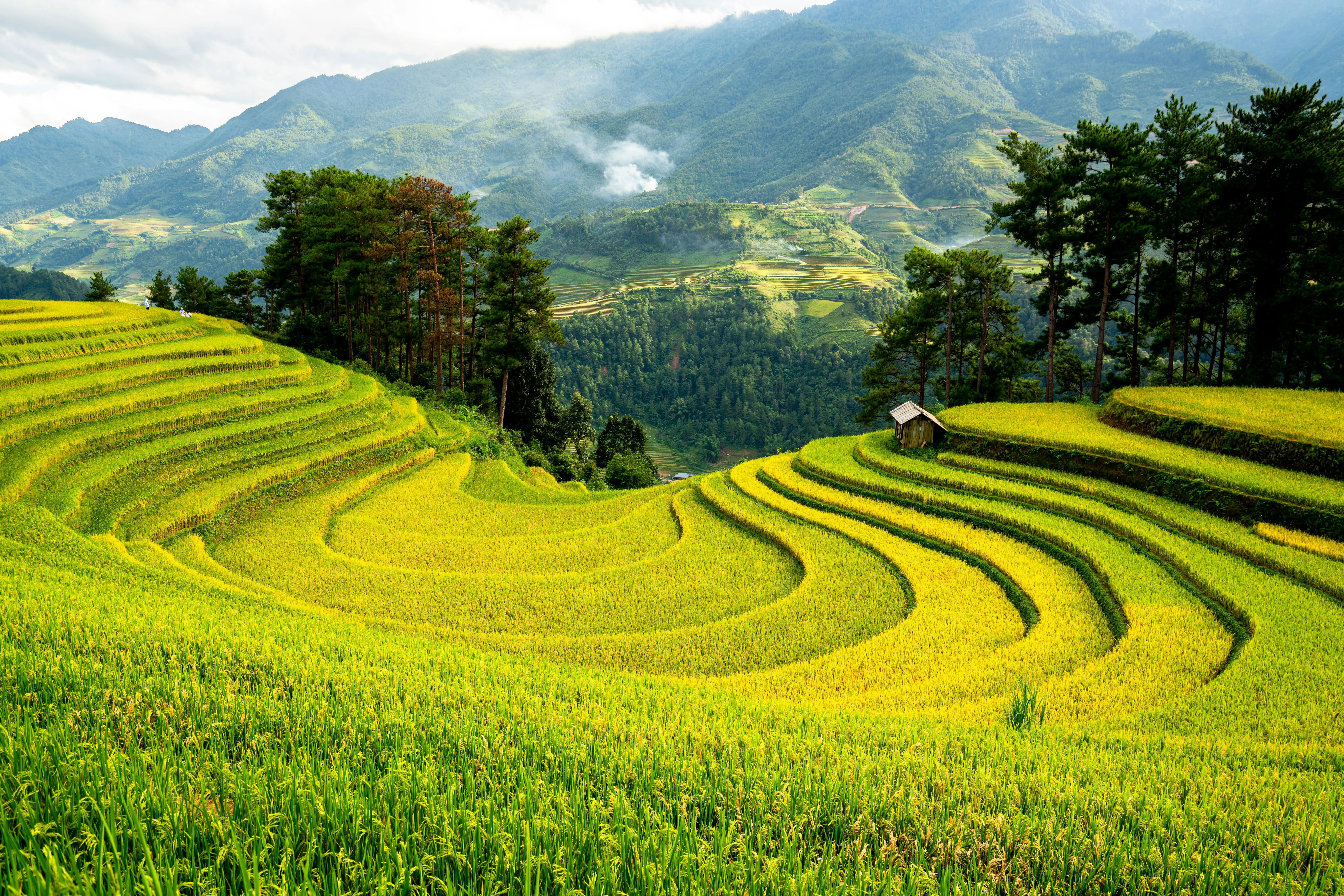 18 Agricultural Techniques Used in Ancient Societies