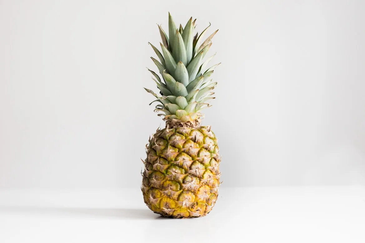 Julien Pianetti from Unsplash