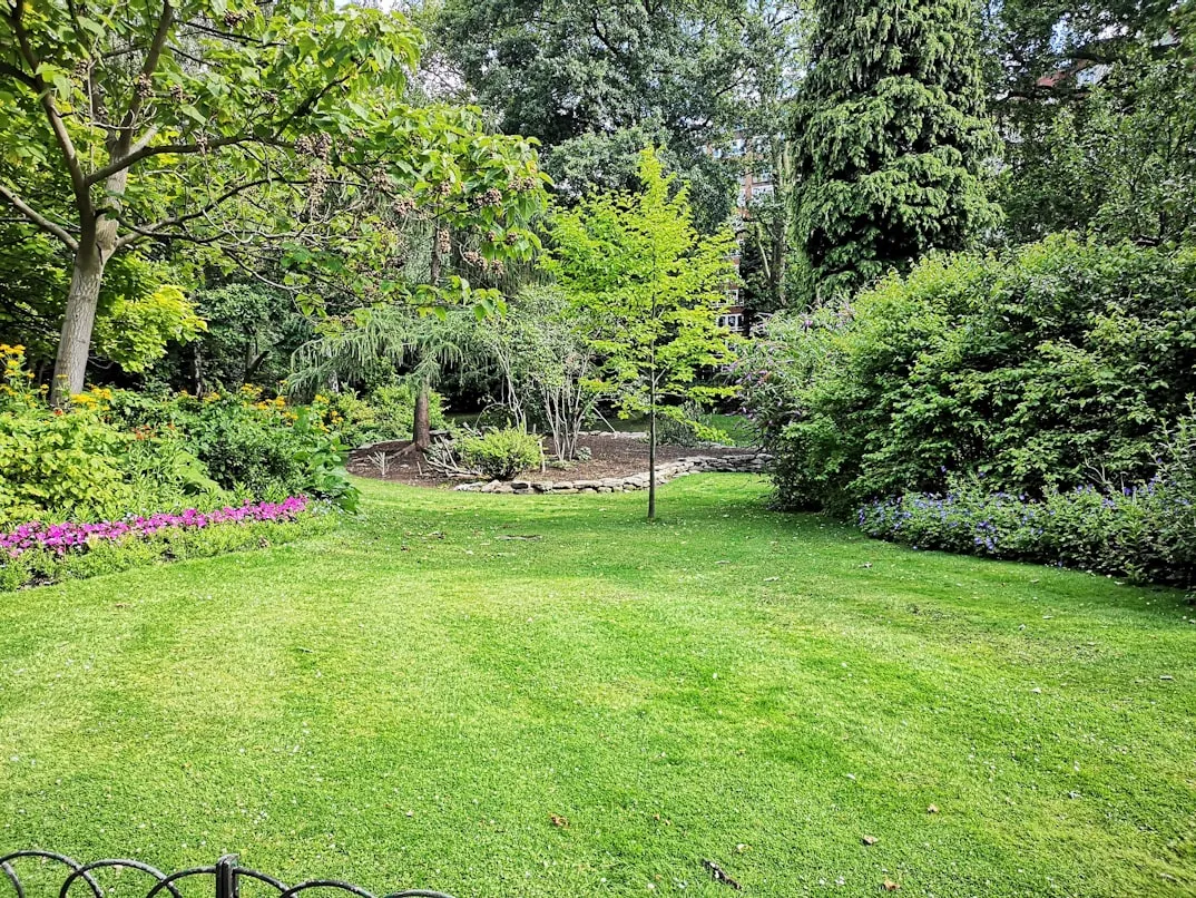 13 Backyard Games You Invented With Friends