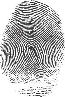 Image from Wikipedia