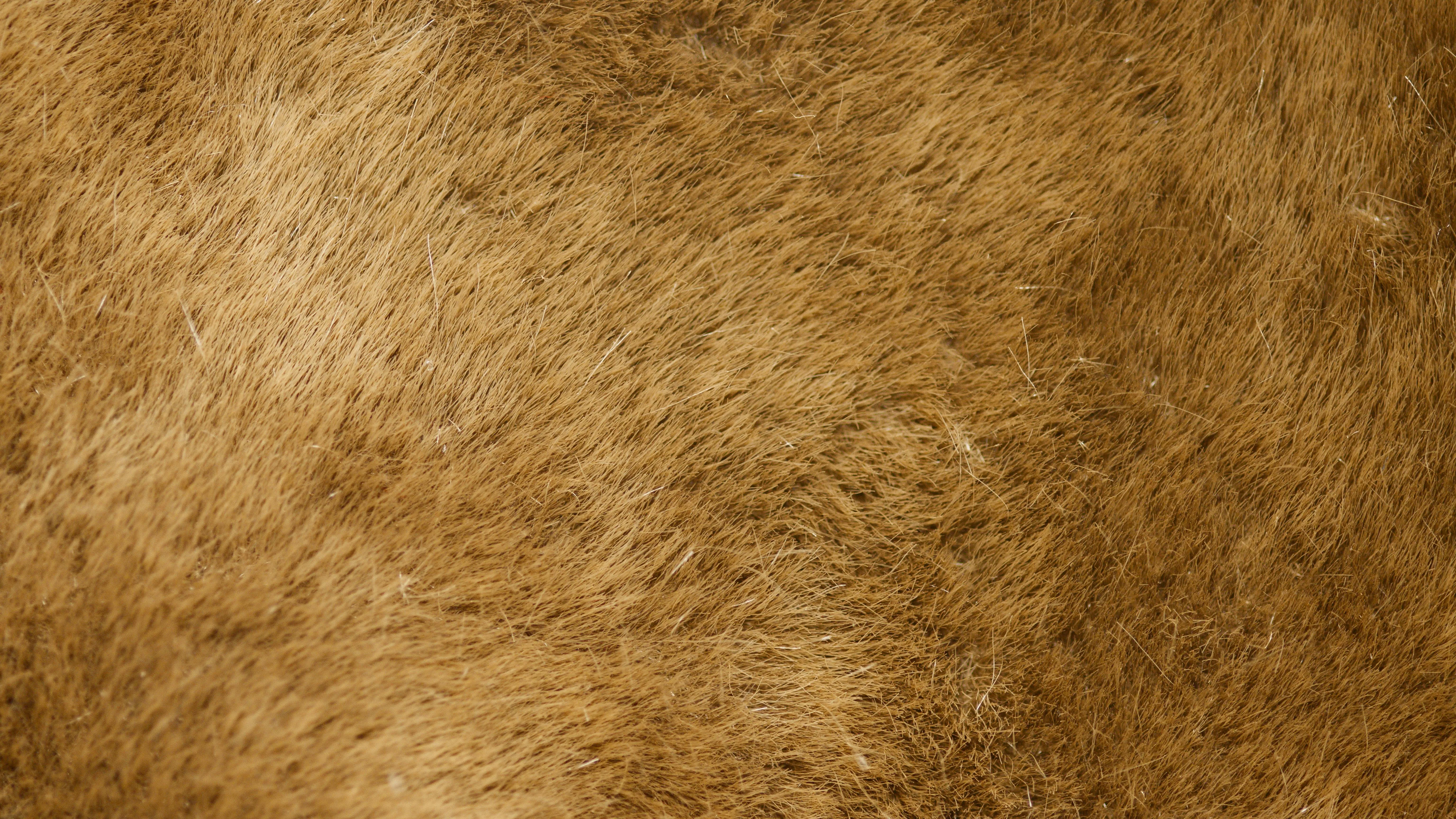 Artem Podrez on Pexels