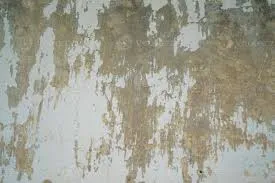 Image from Vecteezy
