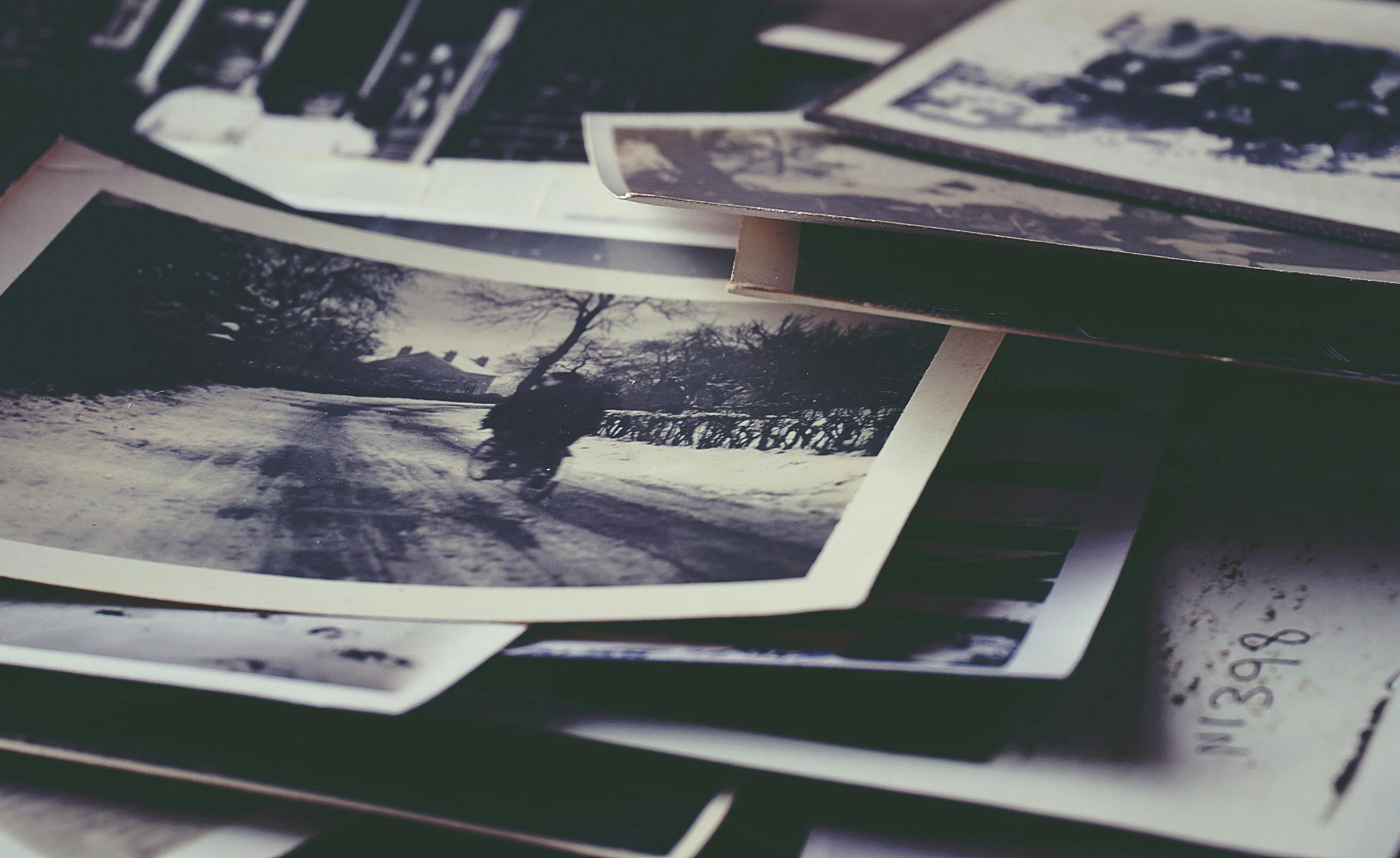 Suzy Hazelwood on Pexels