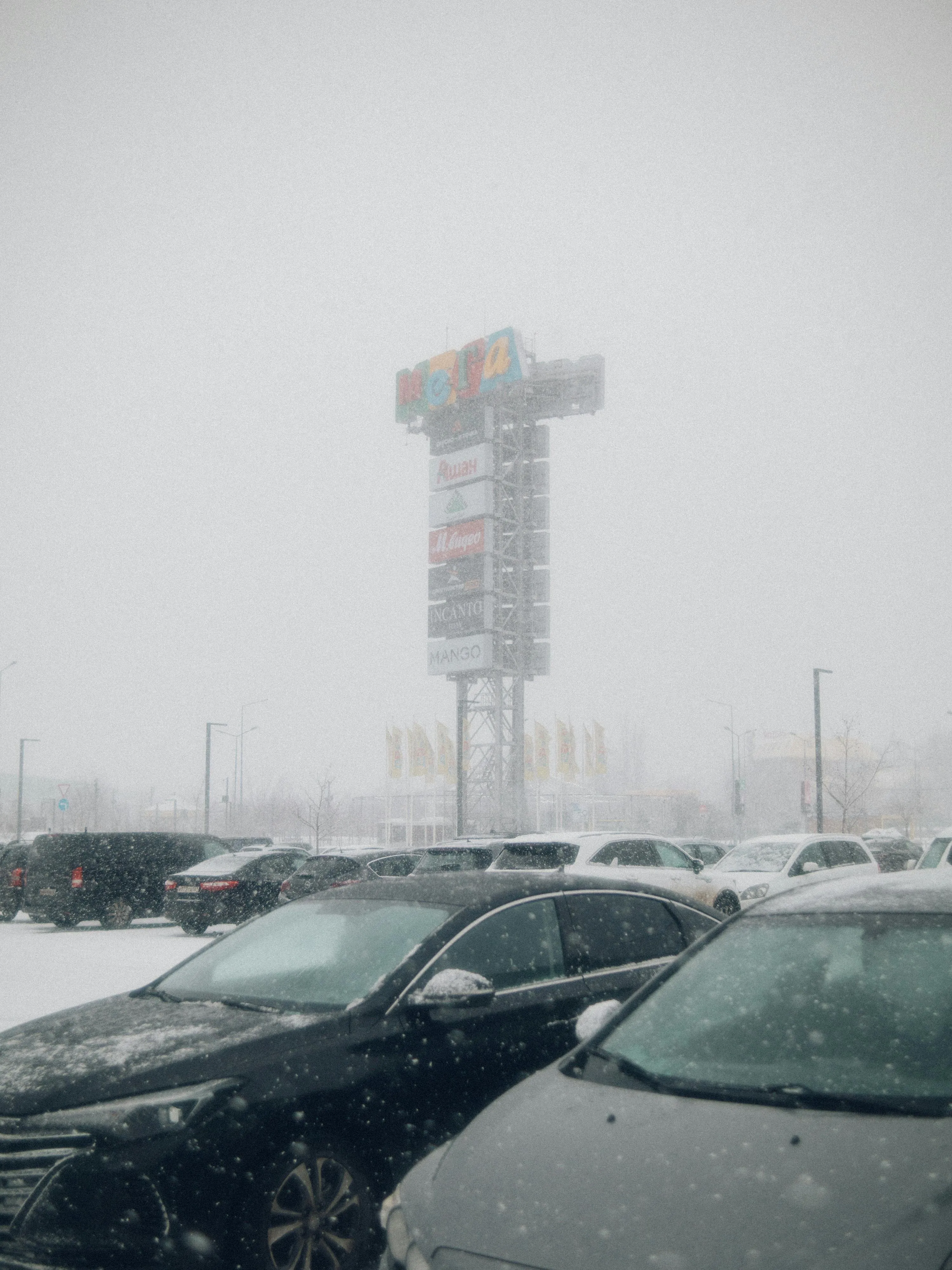 Igor Lushnickiy on Pexels