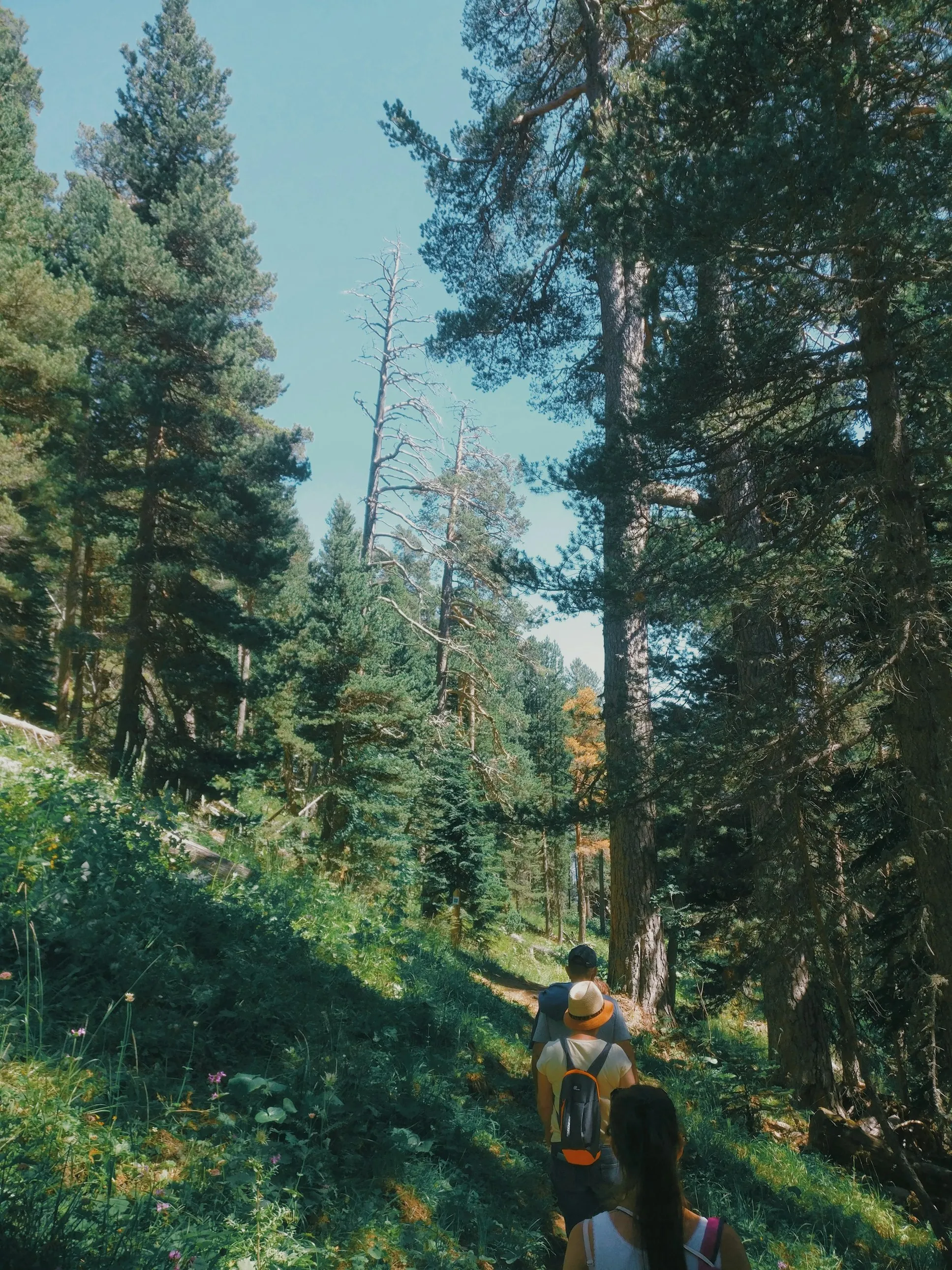 Andrii Solok 🇺🇦 on Unsplash