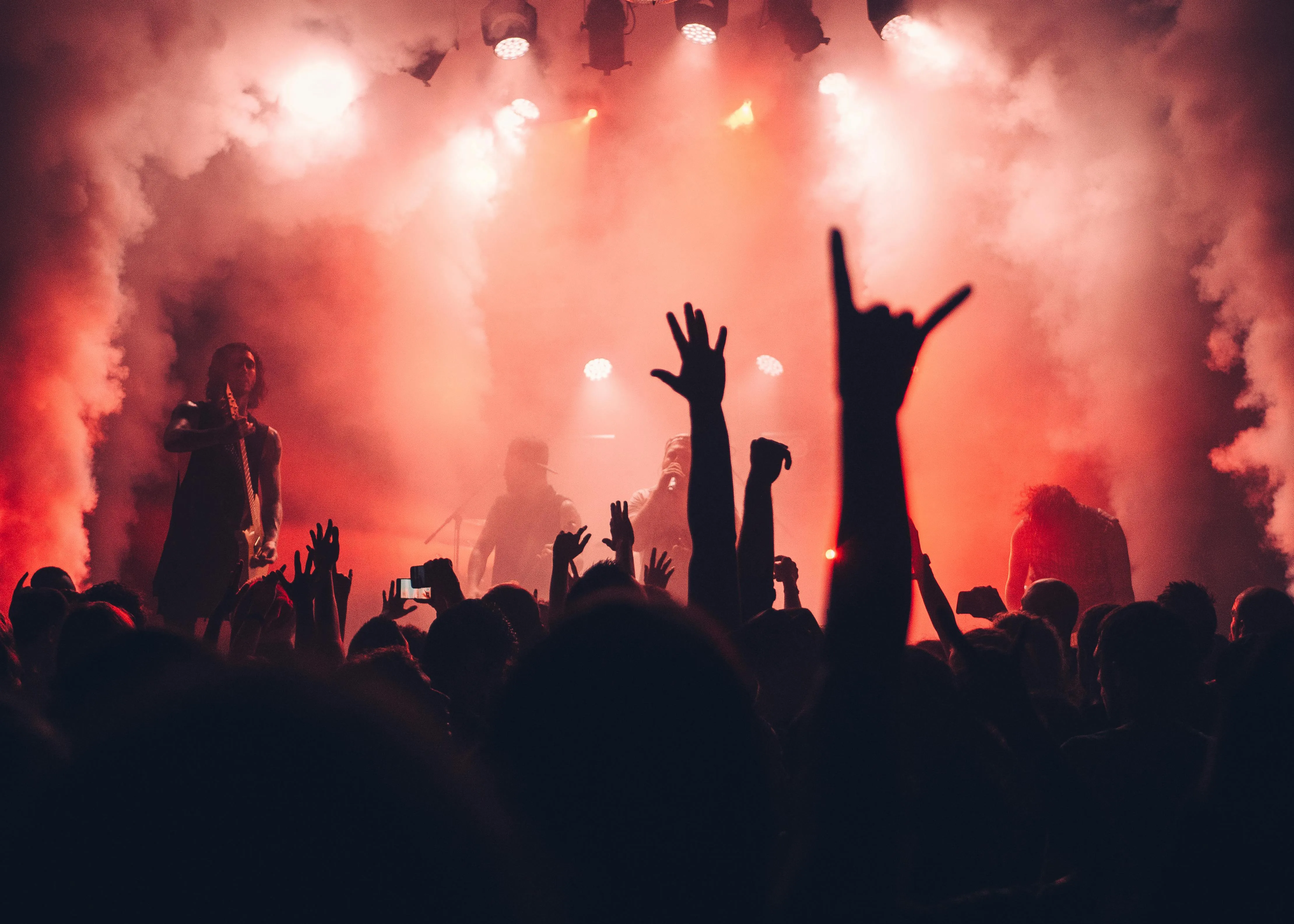 Sebastian Ervi on Pexels