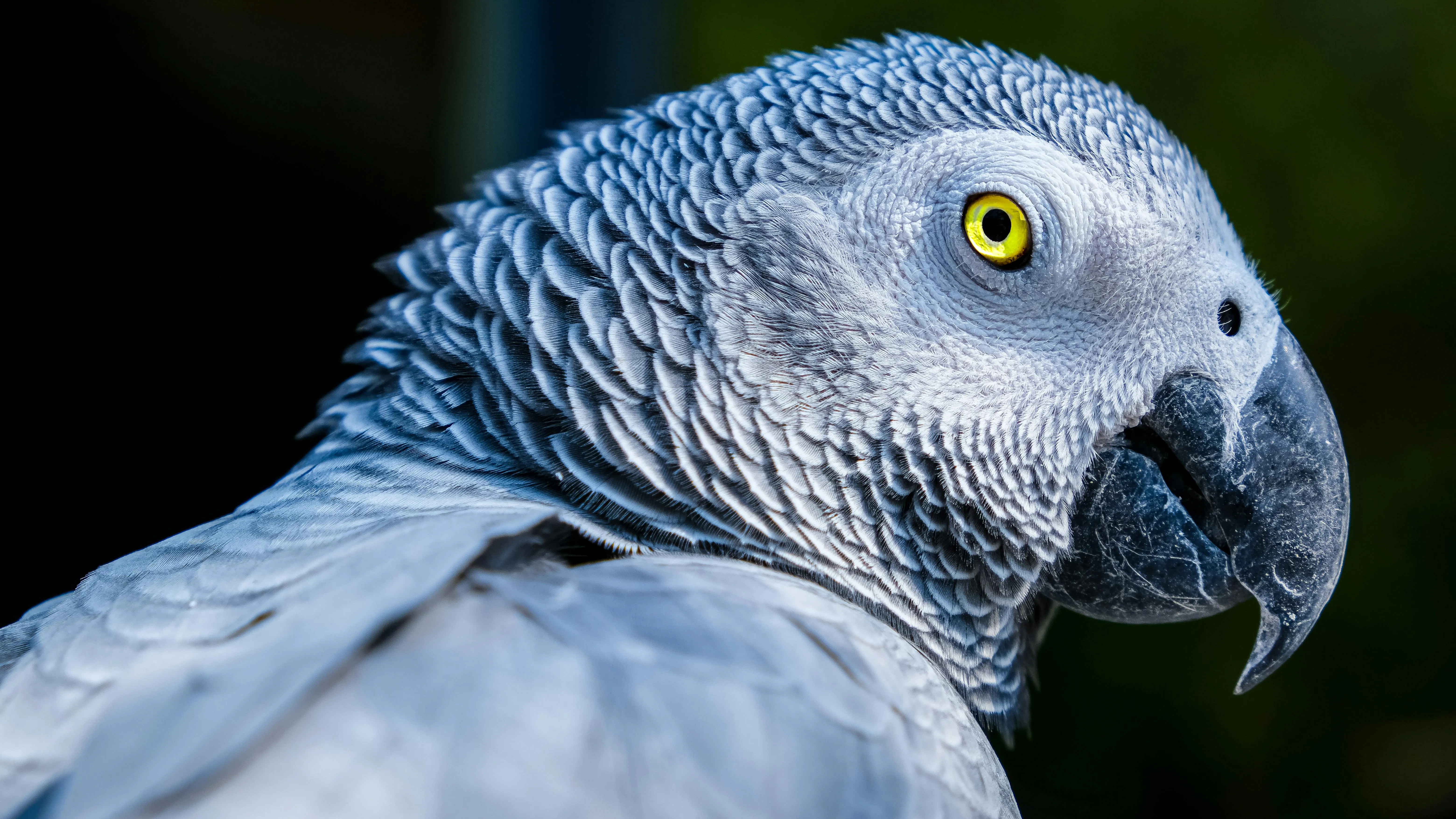 Magda Ehlers on Pexels