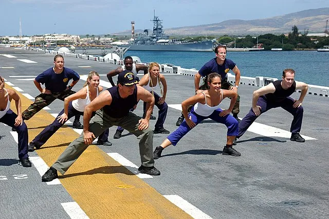 U.S. Navy photo by Storekeeper 1st Class Blaine W. Smith on Wikimedia Commons 