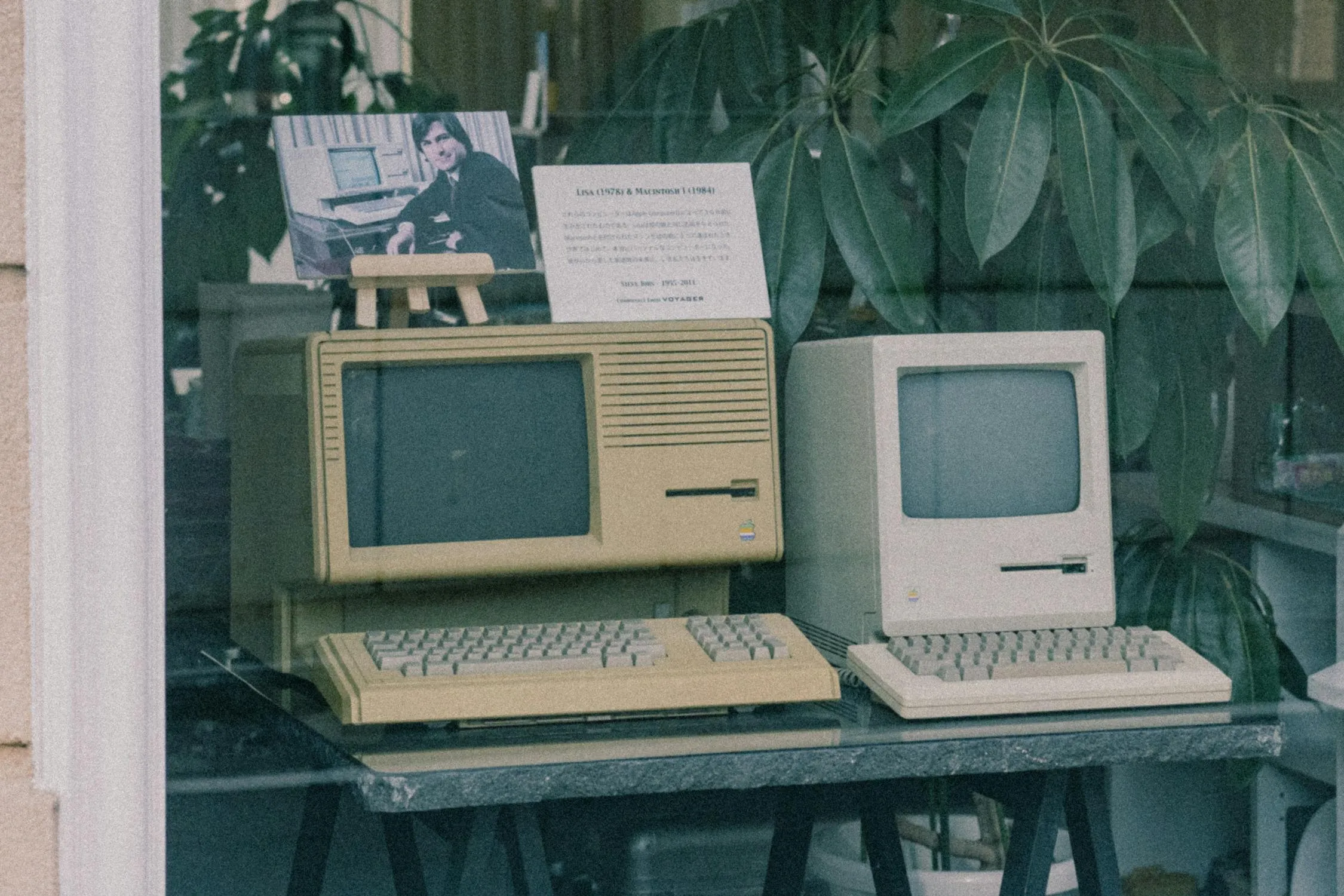 Derek Xing on Pexels