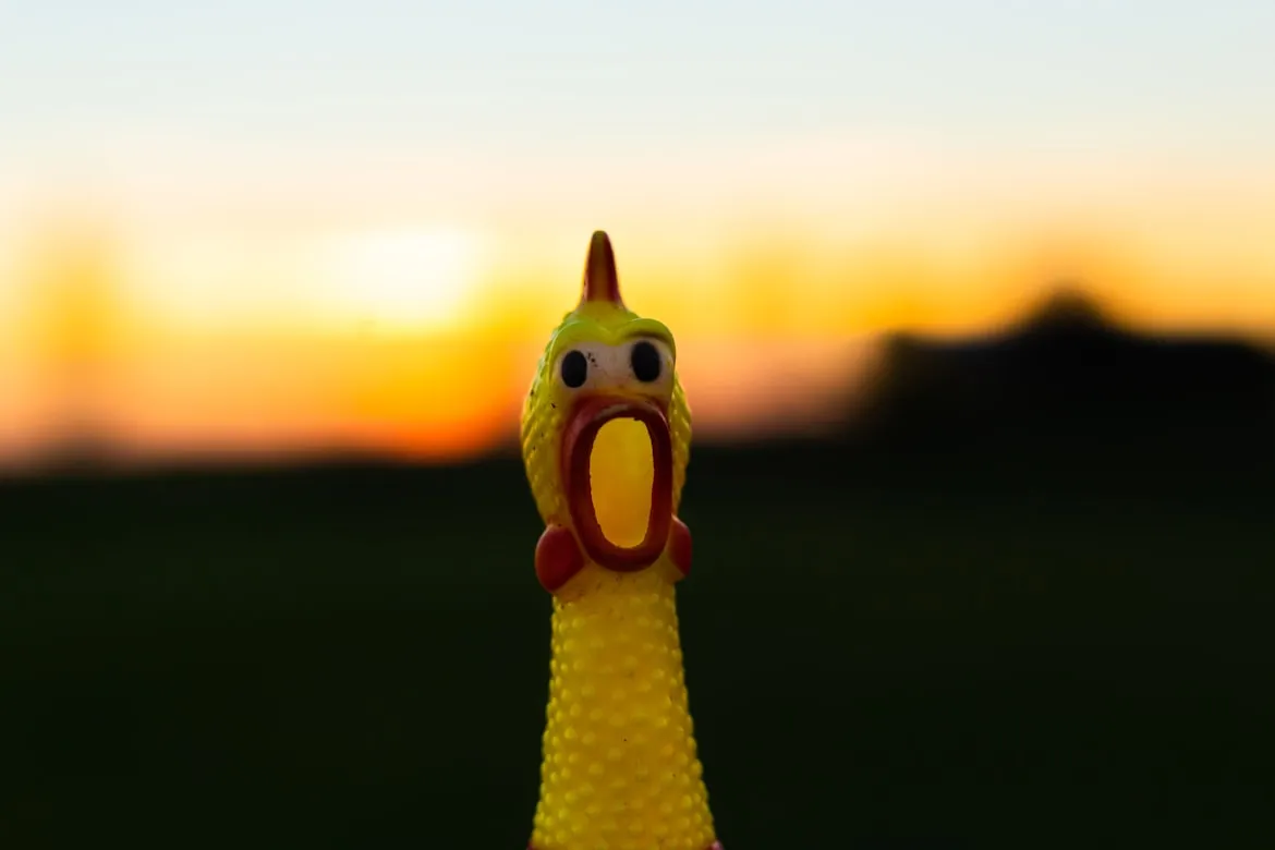  nygi from Unsplash