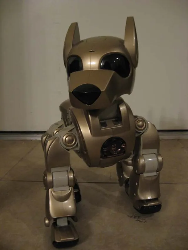 Jon Ray on Wikimedia Commons