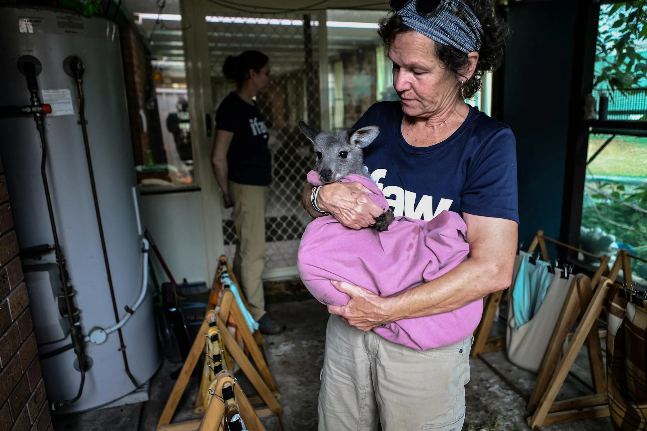 International Fund for Animal Welfare on Pexels 