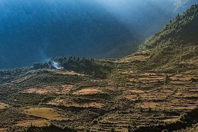 USAID Biodiversity & Forestry on wikimedia