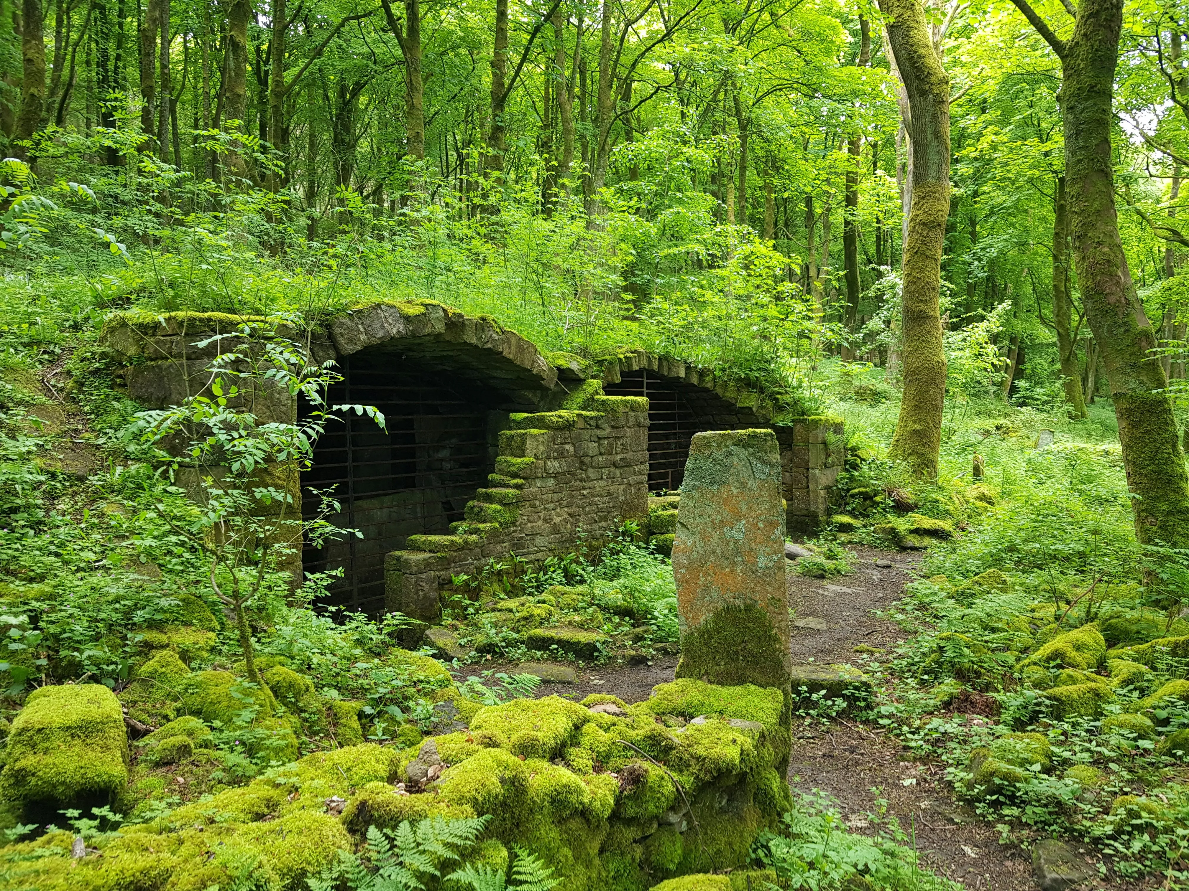 20 Forgotten Discoveries That Reappeared After Decades
