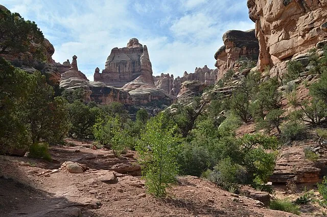 RichieB_pics on Wikimedia Commons 