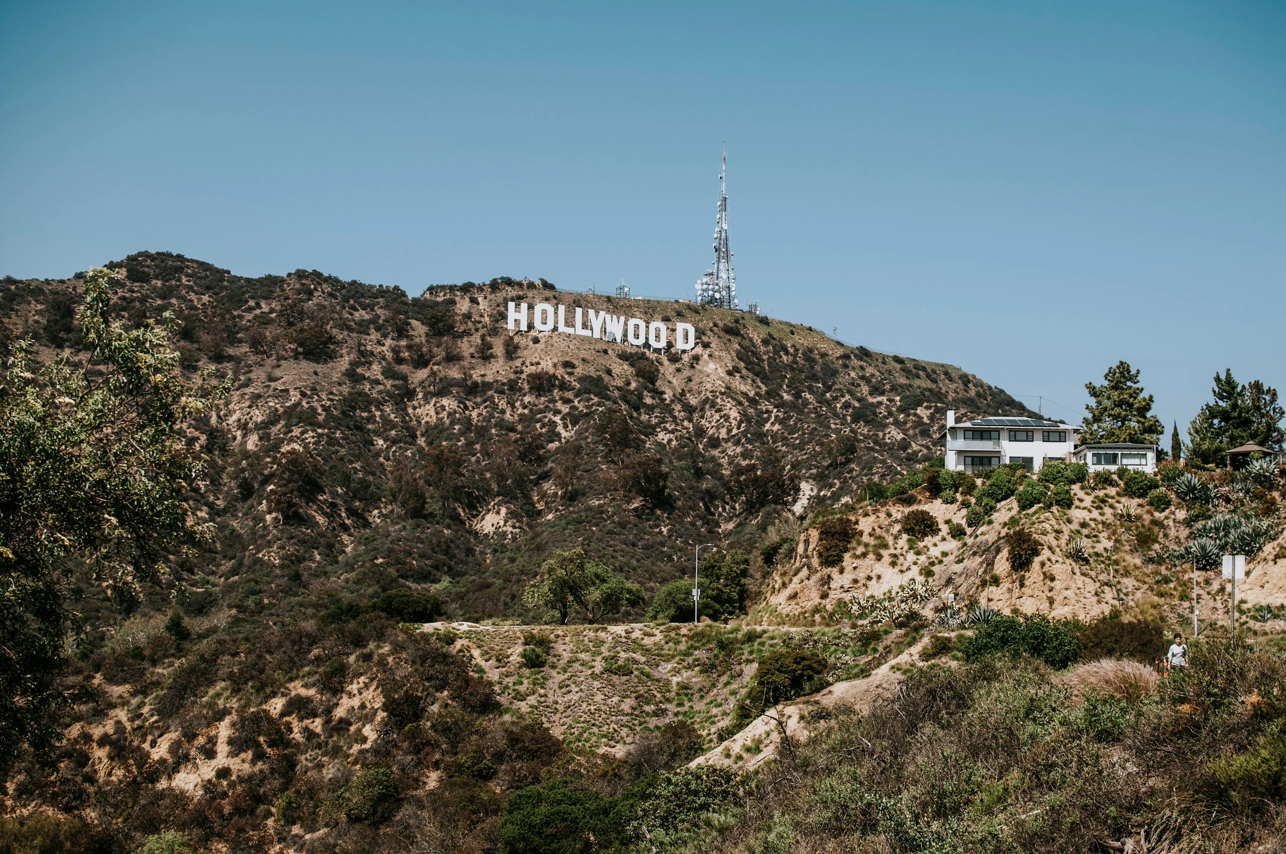 Slide Title: Hollywood Celebrity Diets on Wikimedia Commons 