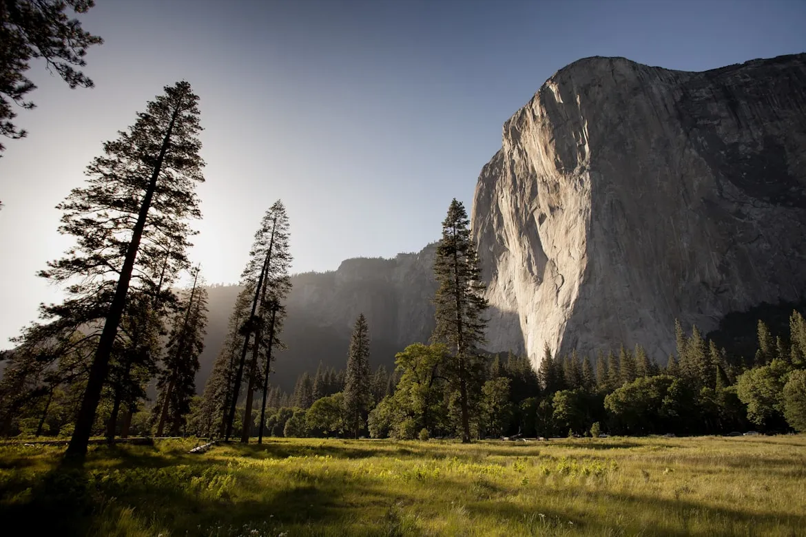 10 Natural Forces That Influence Habitat Formation