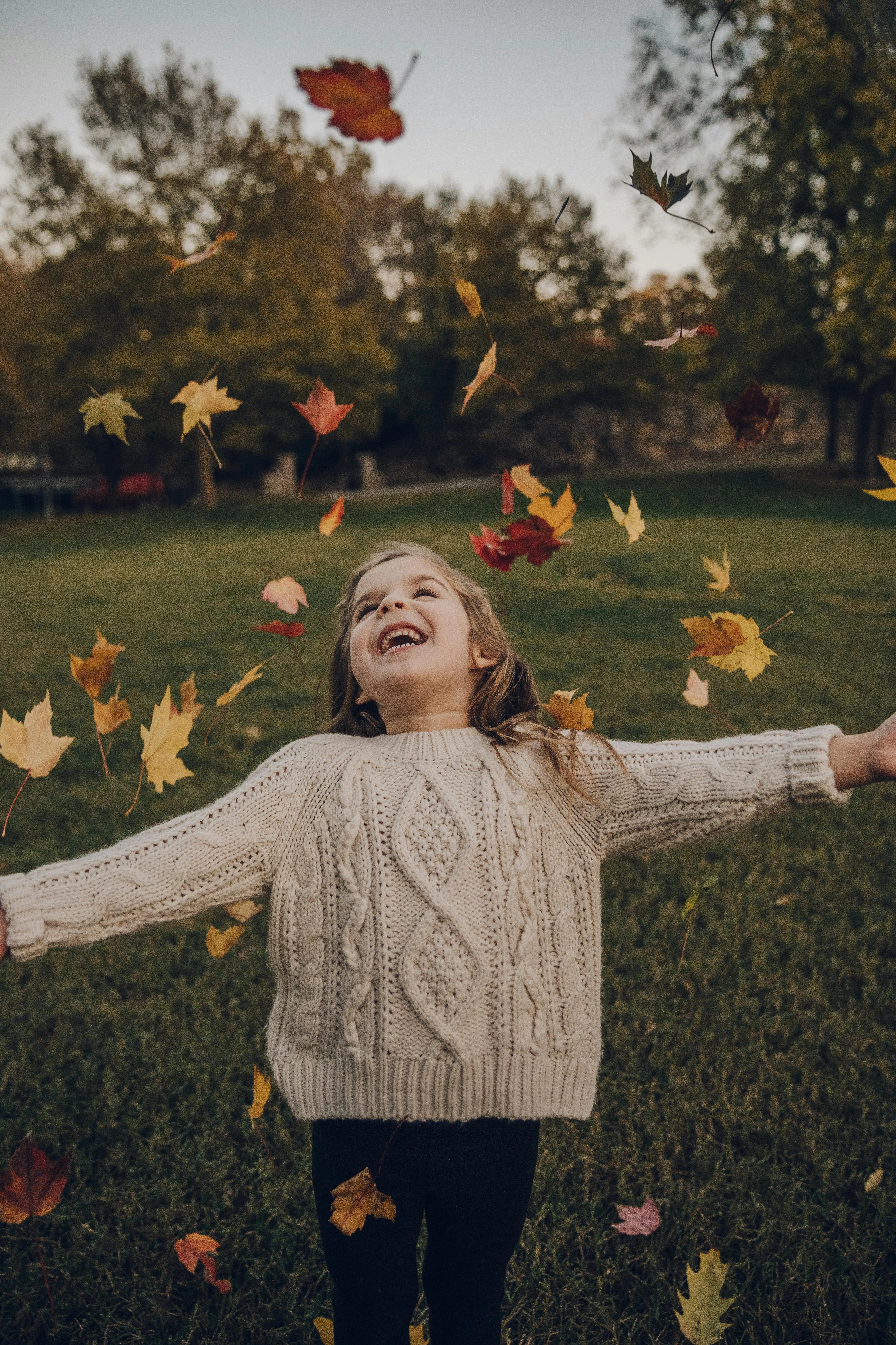 JoEllen Moths on Pexels 