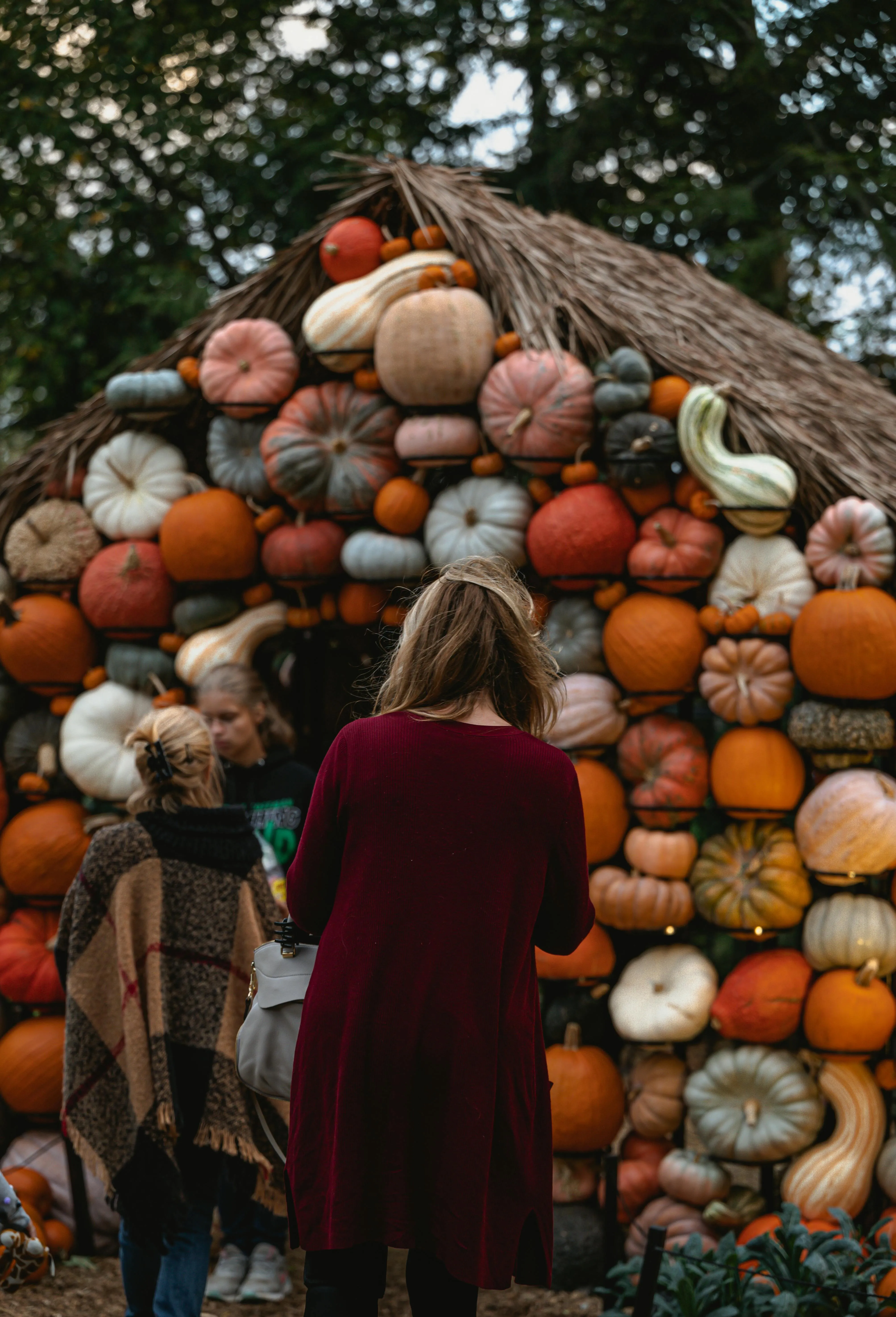 Chris F on pexels