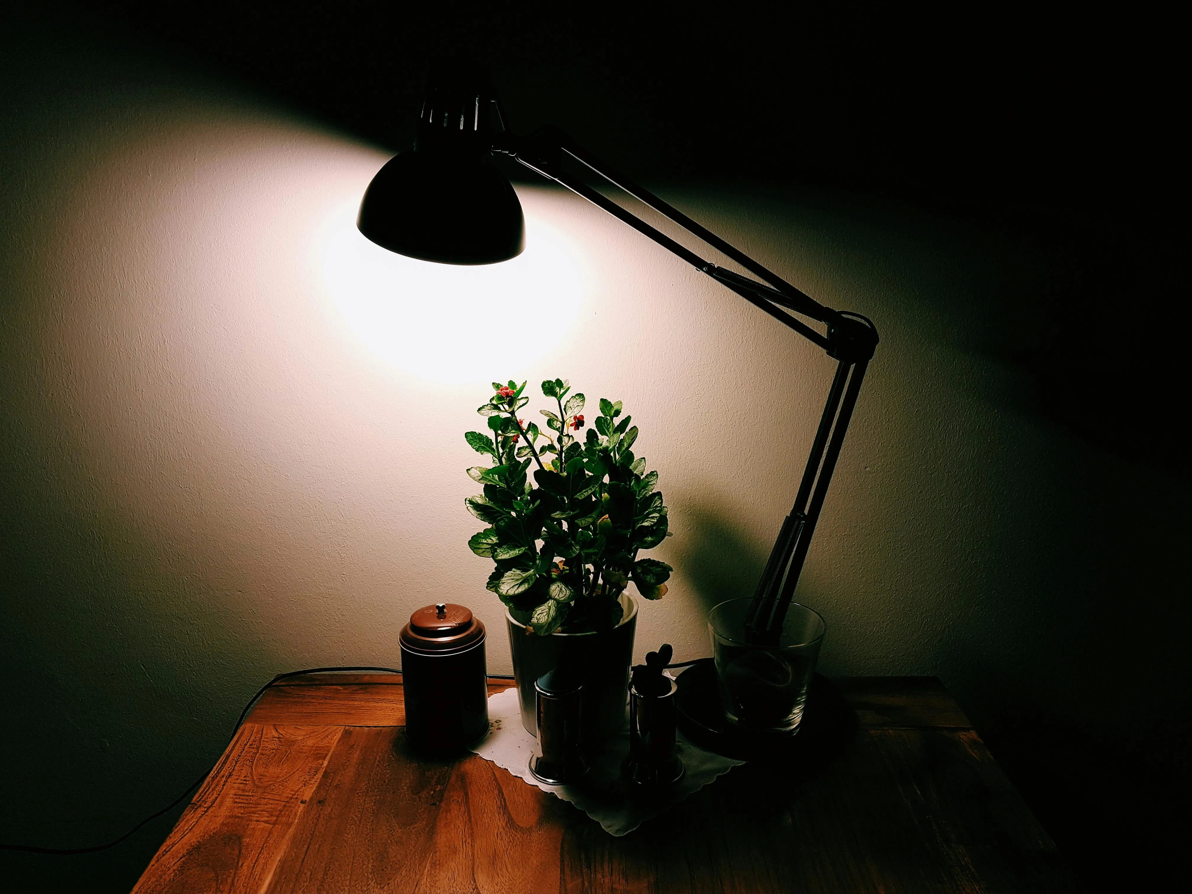 Daniel Frese on Pexels