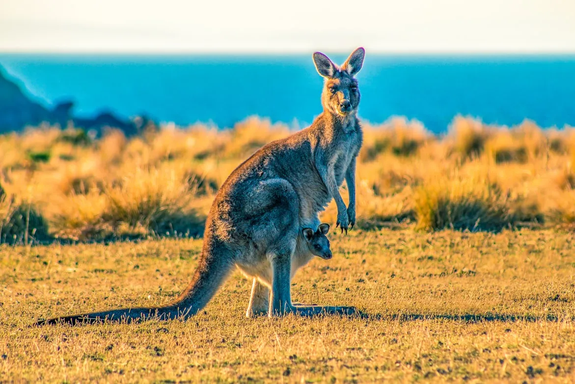 Ondrej Machart from Unsplash