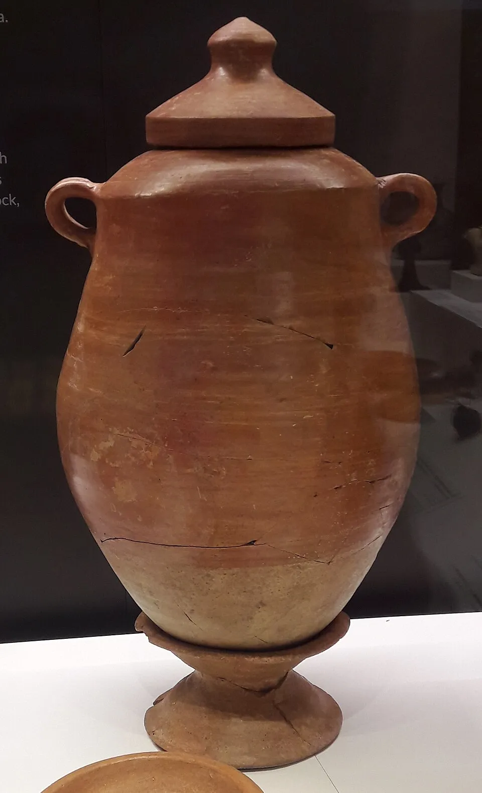 Tyk on Wikimedia Commons