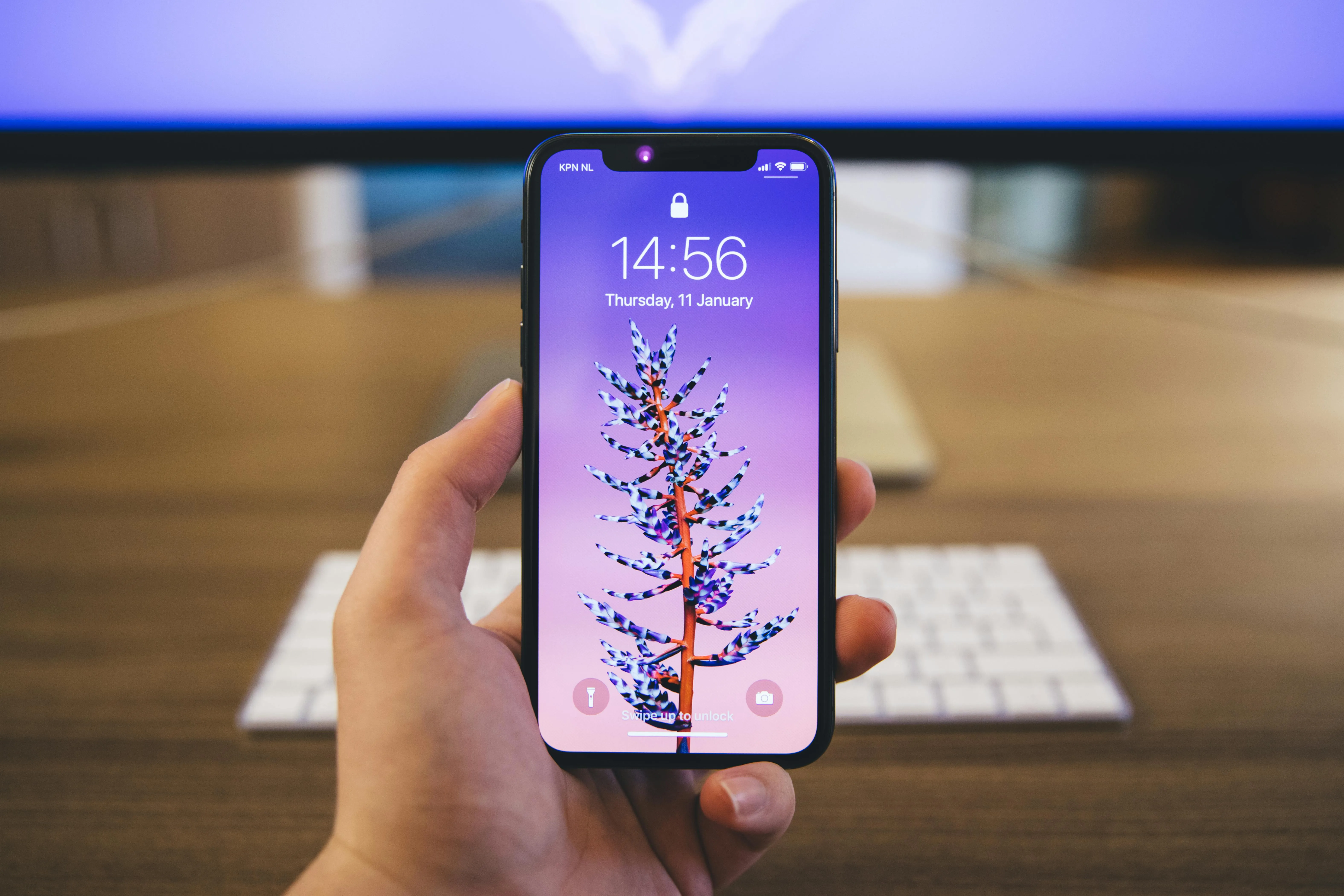 Rob Eradus on Pexels