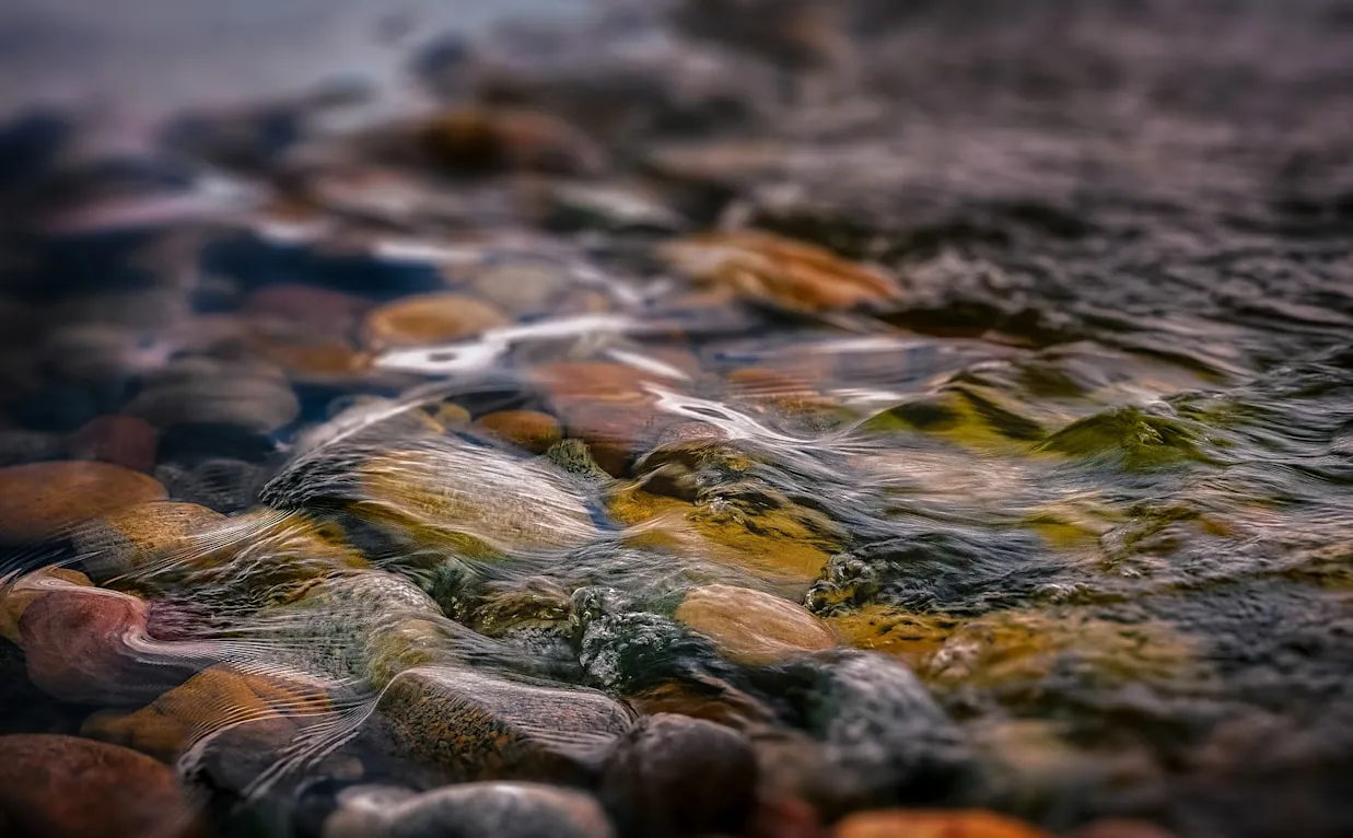 Robert Zunikoff from Unsplash
