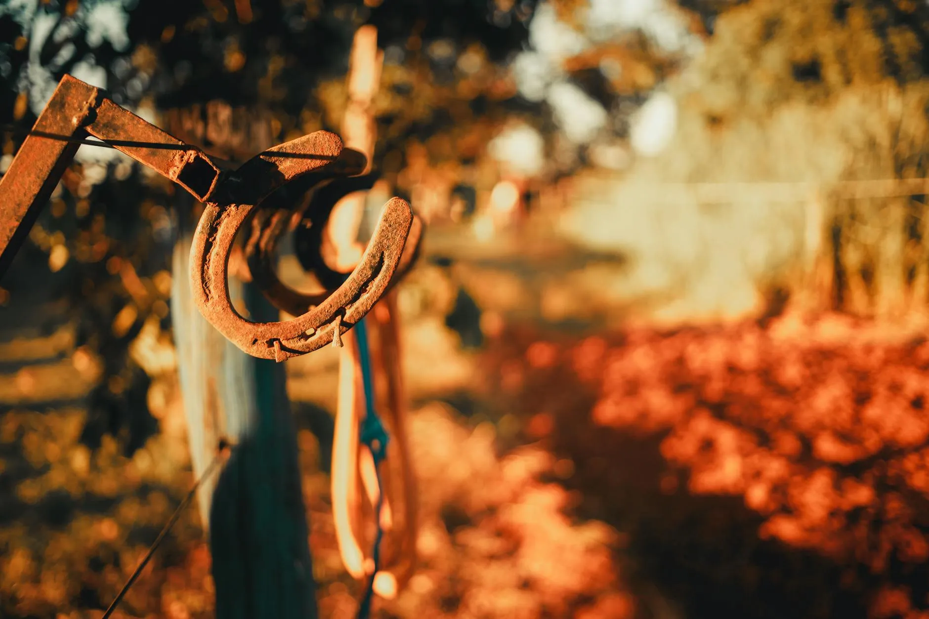 Breno Cardoso on Pexels