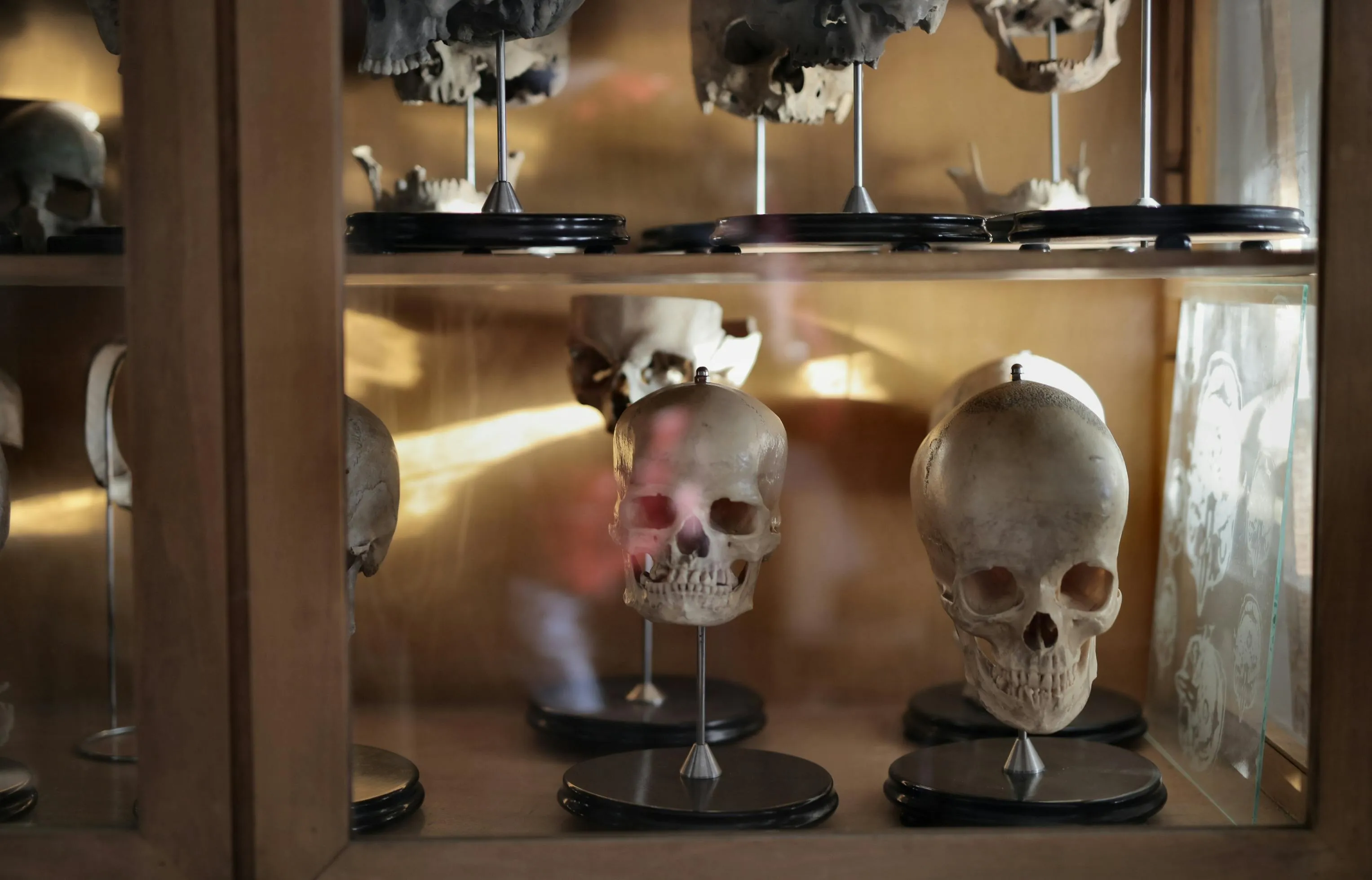 12 Ancient Skeletons That Don’t Fit Our Evolutionary Timeline