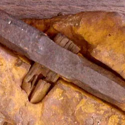 Image from IFLScience