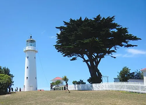 Image from Wikipedia