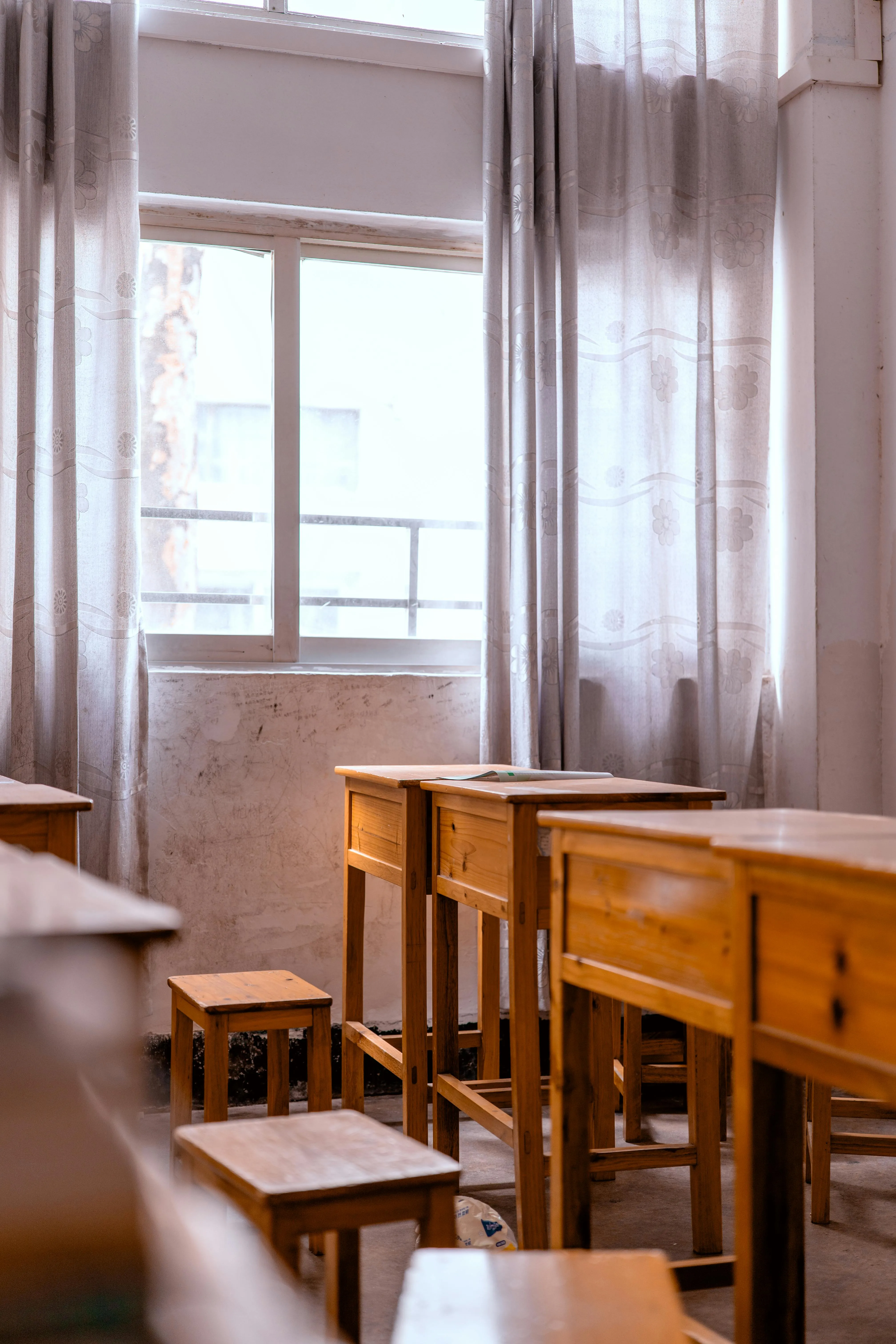晓鸟 蓝 from Pexels