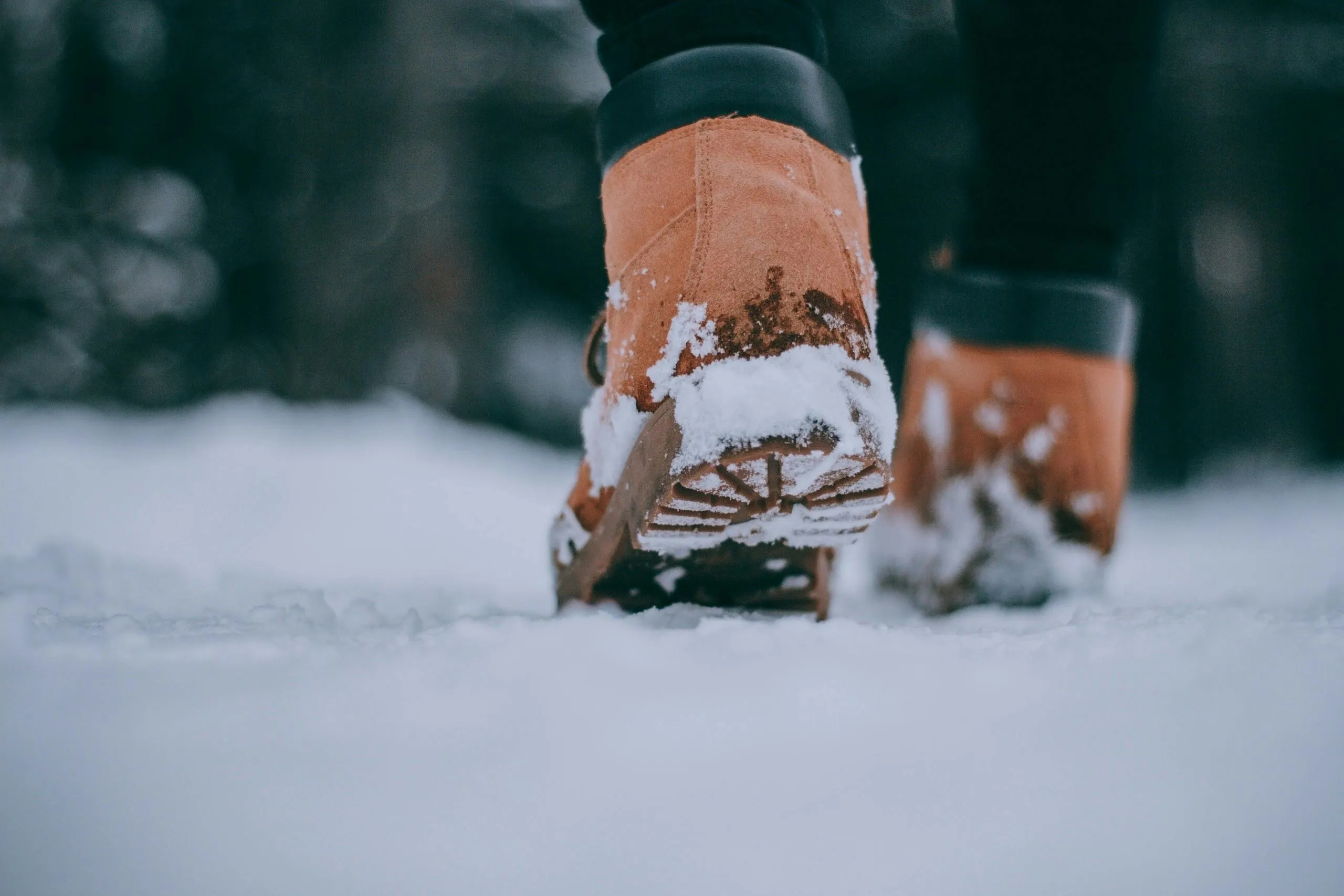 Варвара Курочкина on pexels