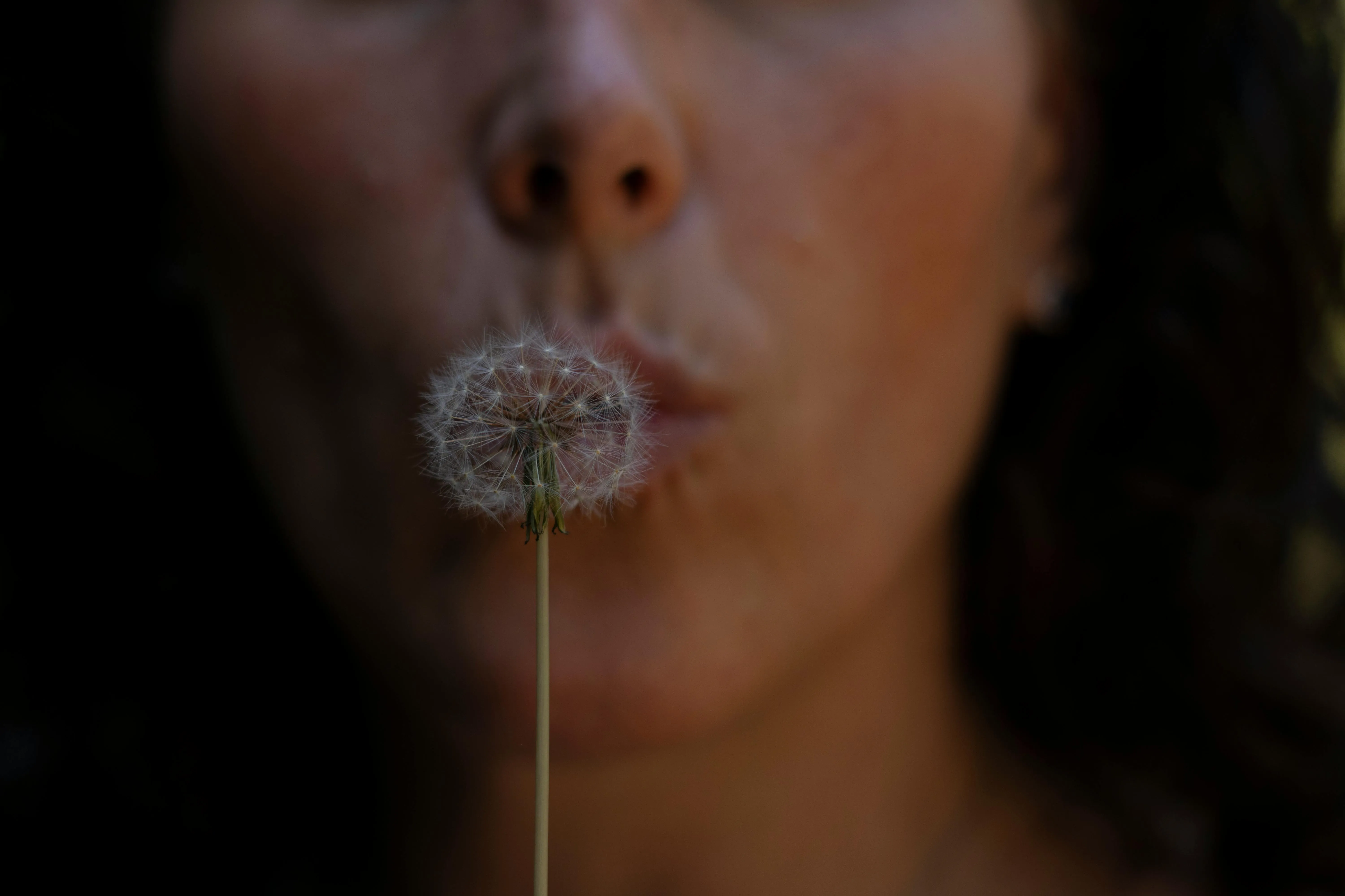 Oscar Ruiz on Pexels