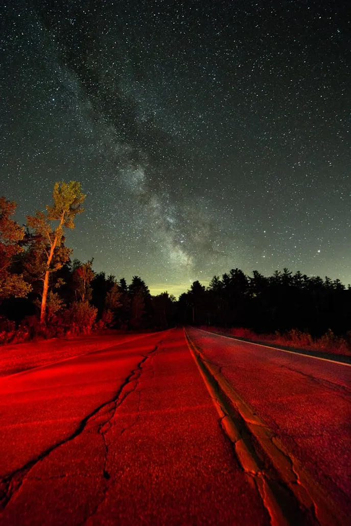 Adrian Pelletier from Unsplash
