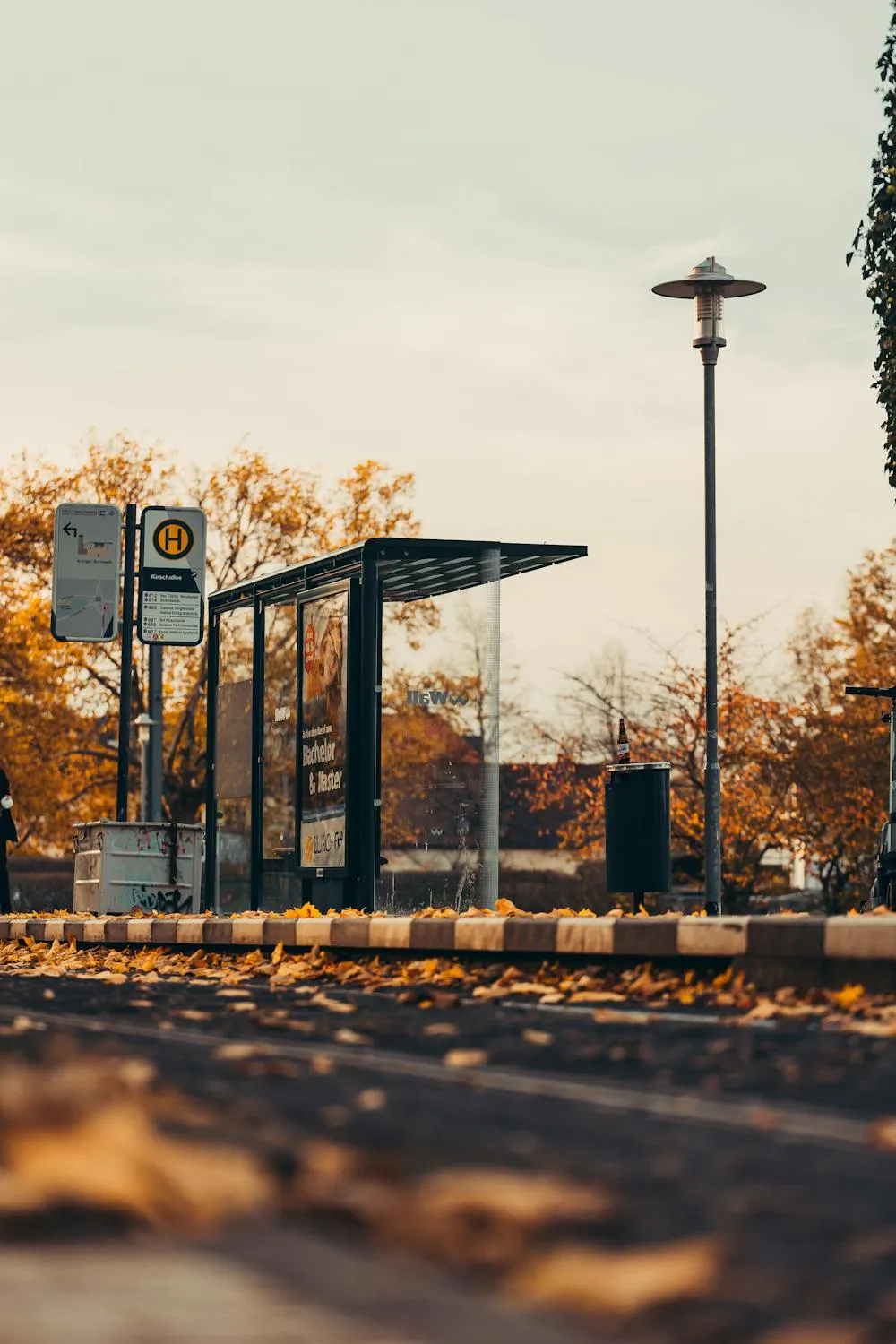 Eddson Lens on Pexels 