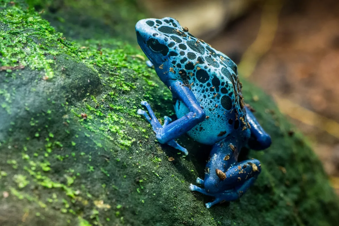 Travis Leery on Unsplash