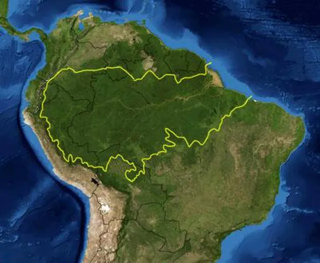 Pfly on wikimedia