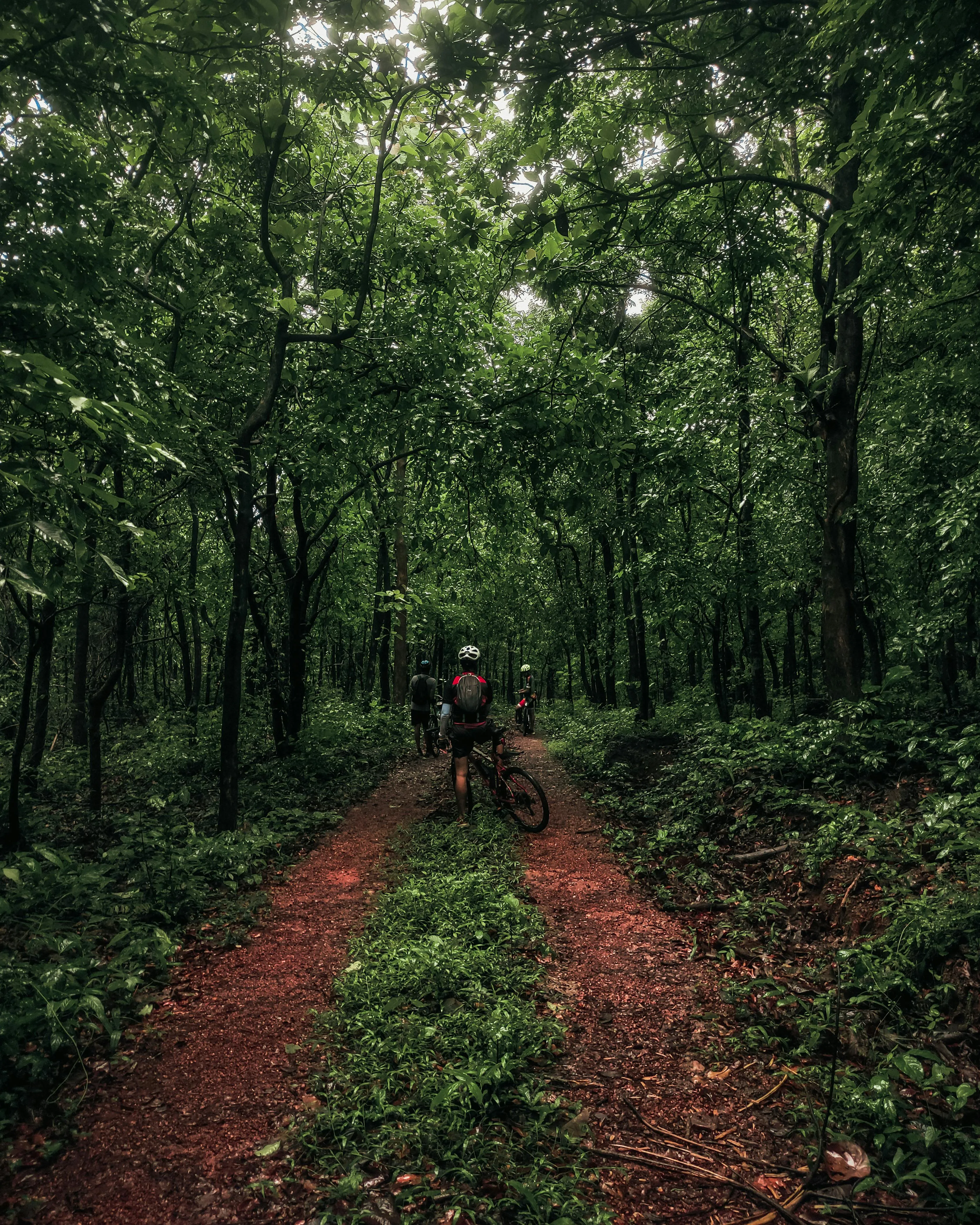 Rubenstein Rebello on Pexels